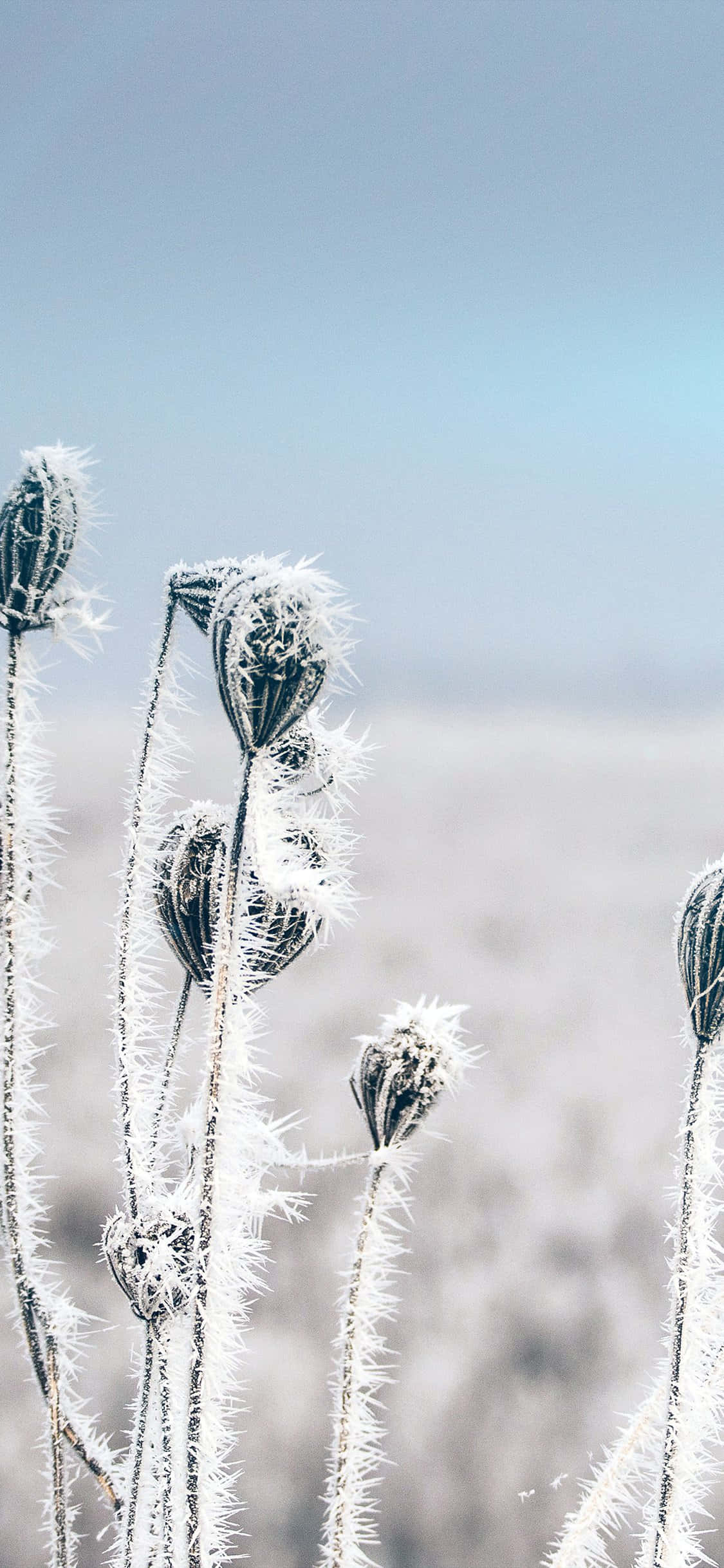 Fantastisk Skovvandfaldsscene Wallpapers
