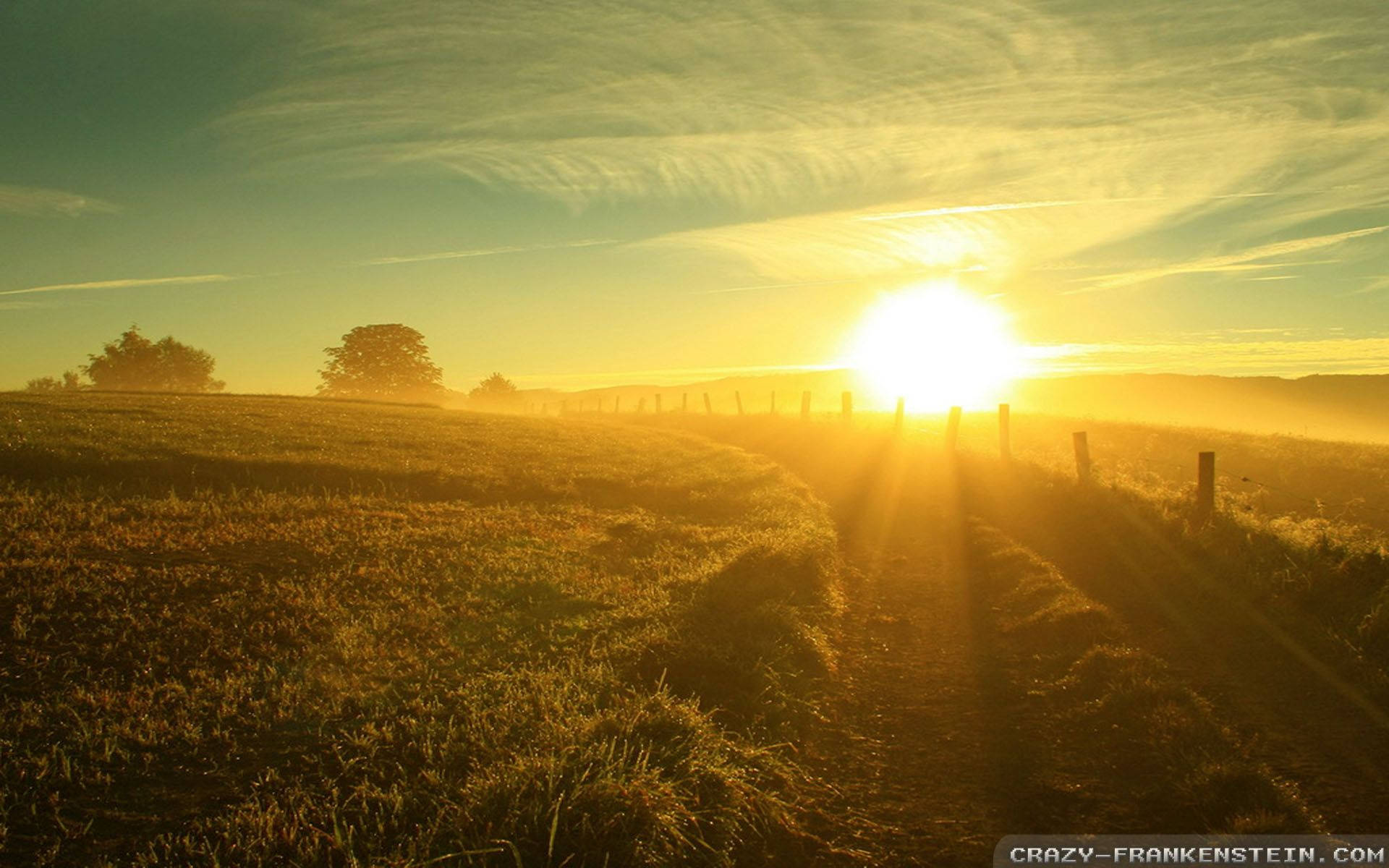 Fantastisk sommersol Wallpapers