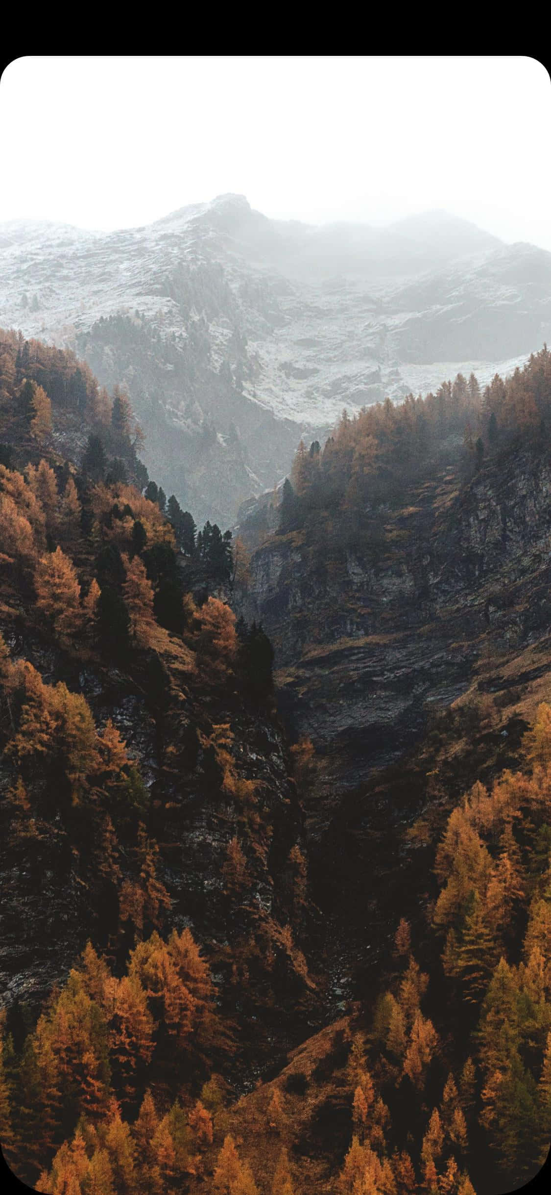 Fantastisk vandfald i en frodig grøn skov Wallpapers