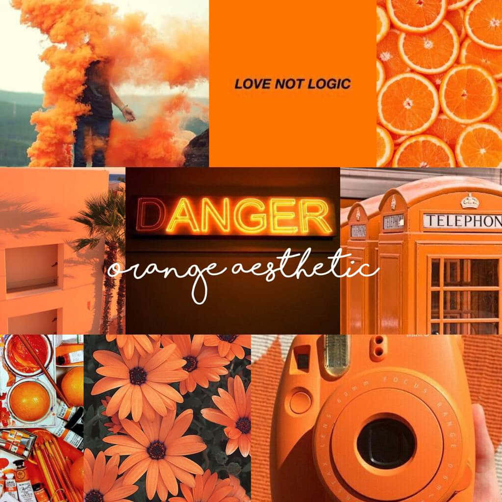 Farvelæg dit liv med passion Wallpapers
