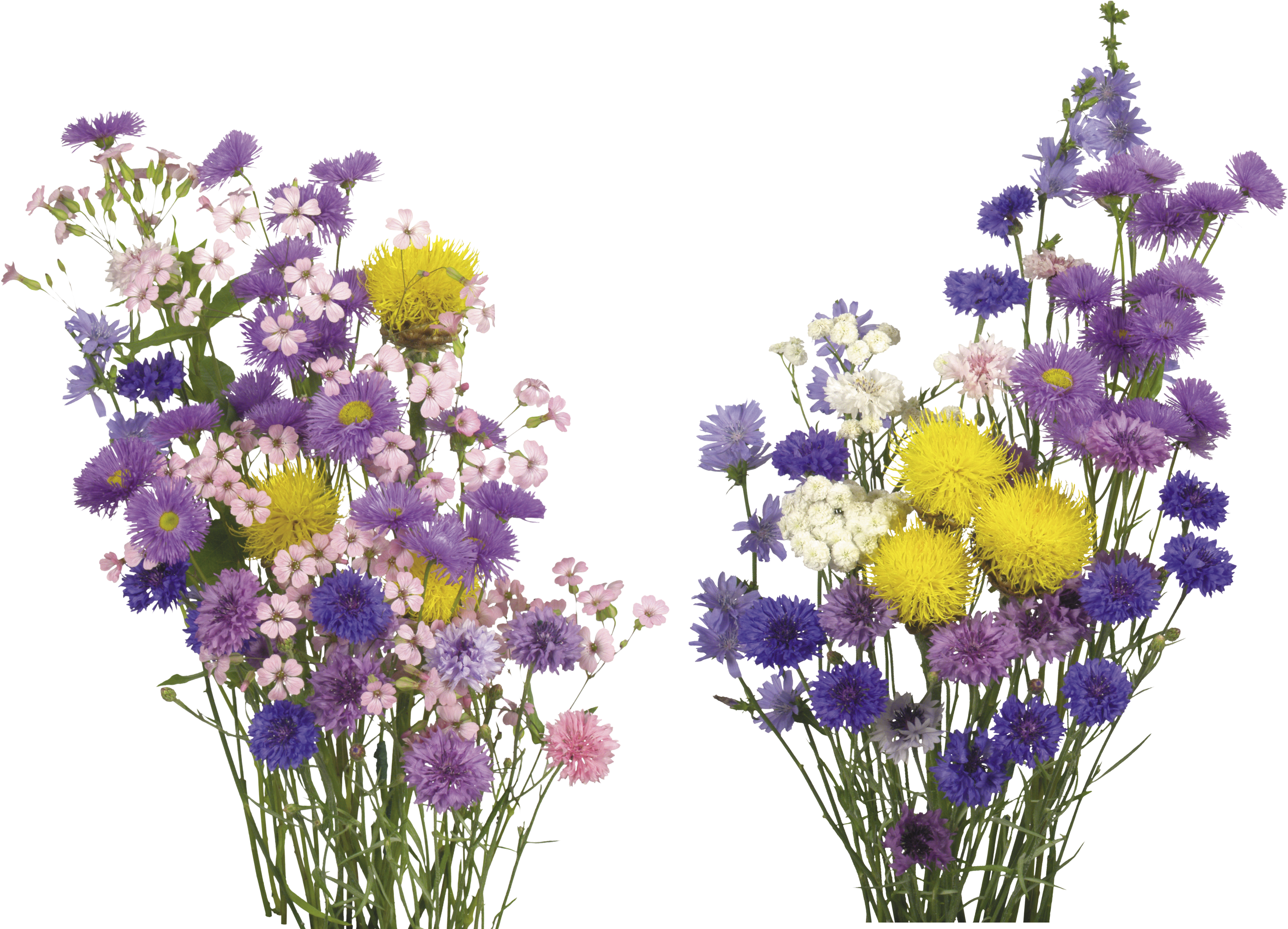 Farverig buket med gennemsigtig baggrund Wallpapers