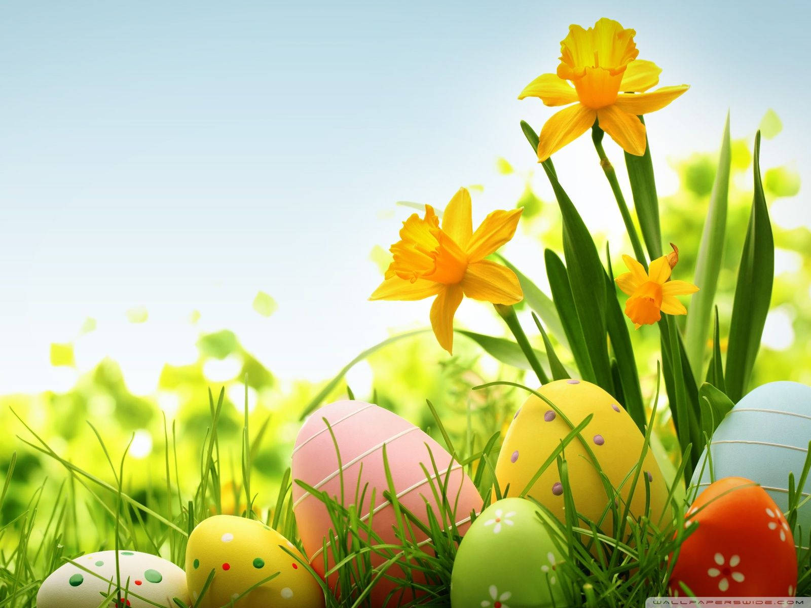 Farverig påsketradition Wallpapers