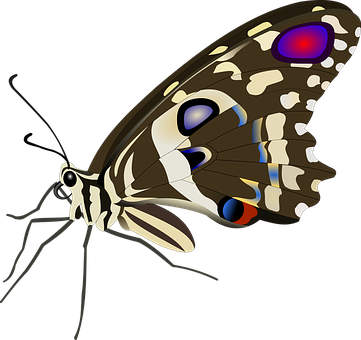 Farverig sommerfugleillustration Wallpapers