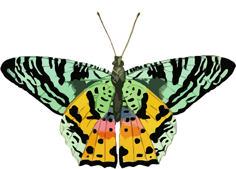 Farverig sommerfugleillustration Wallpapers