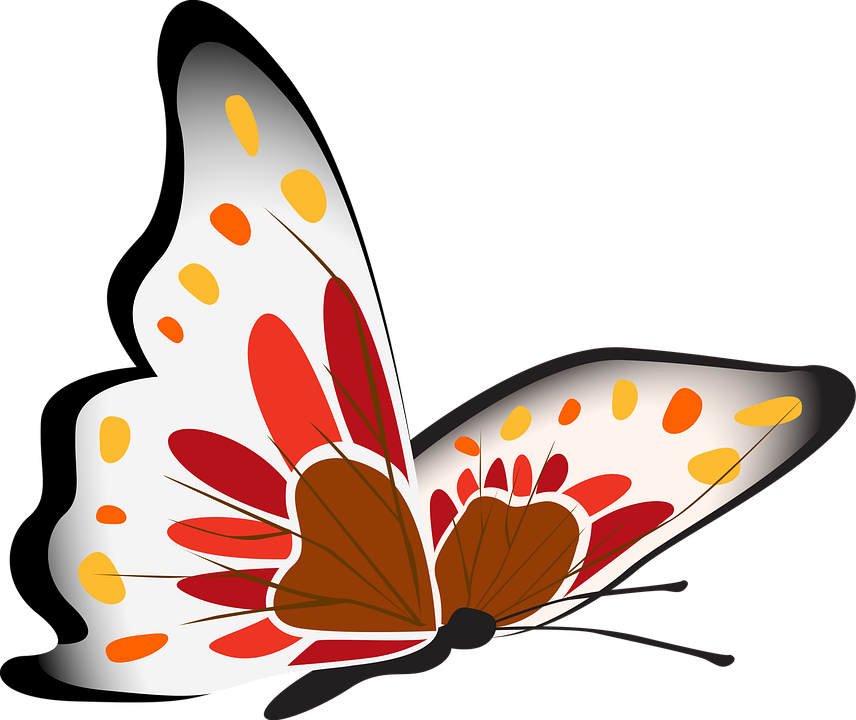 Farverig sommerfugleillustration Wallpapers
