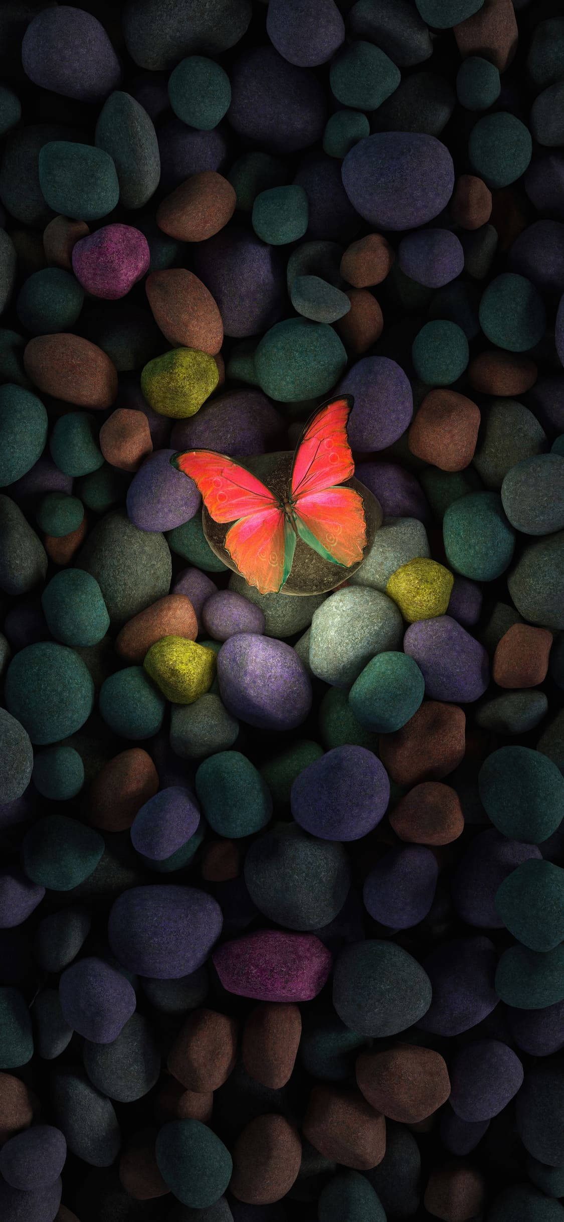 Farverig Sten Og Sommerfugl Æstetisk iPhone Xr Wallpapers