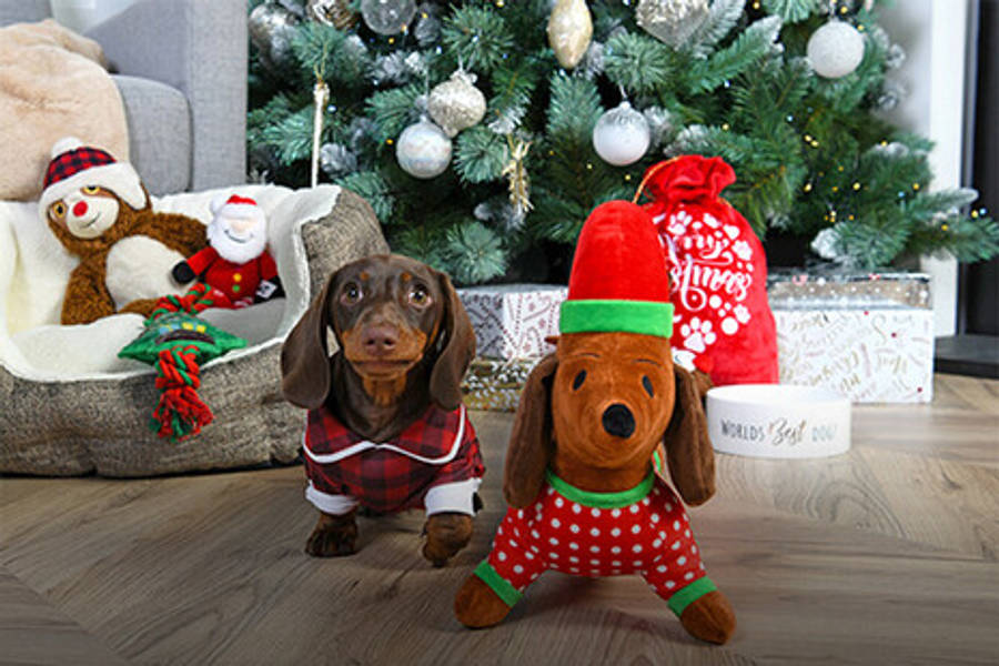 Farverige håndindpakkede julegaver under det funklende juletræ Wallpapers
