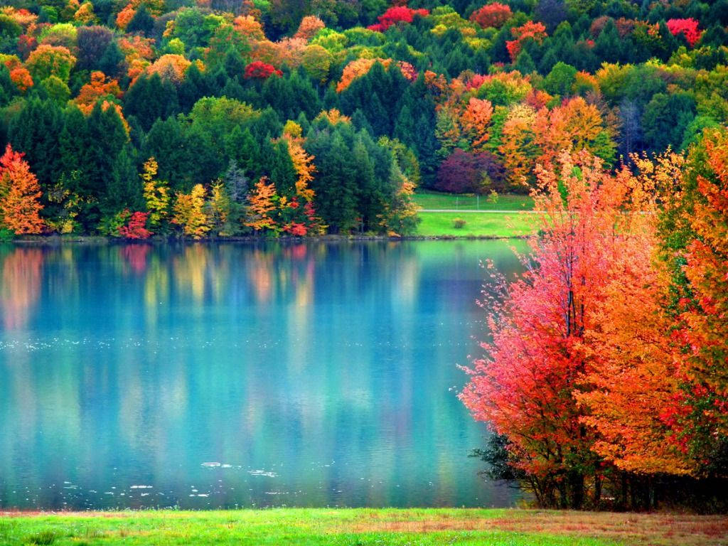 Farverige træer i efteråret Wallpapers