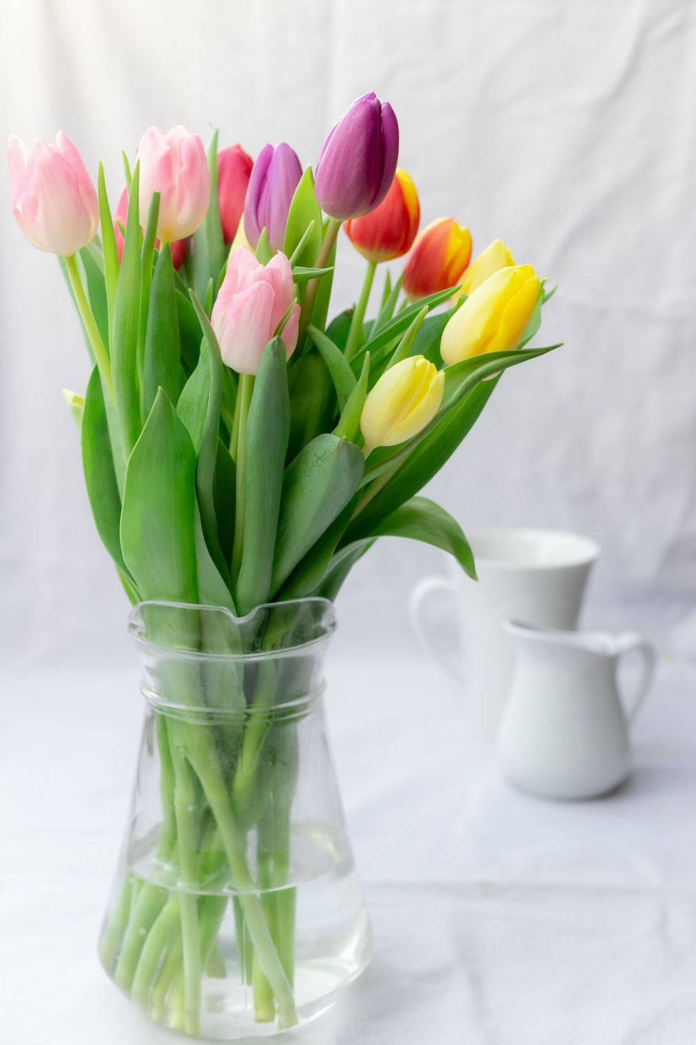 Farverige tulipaner i en blomstervase Wallpapers