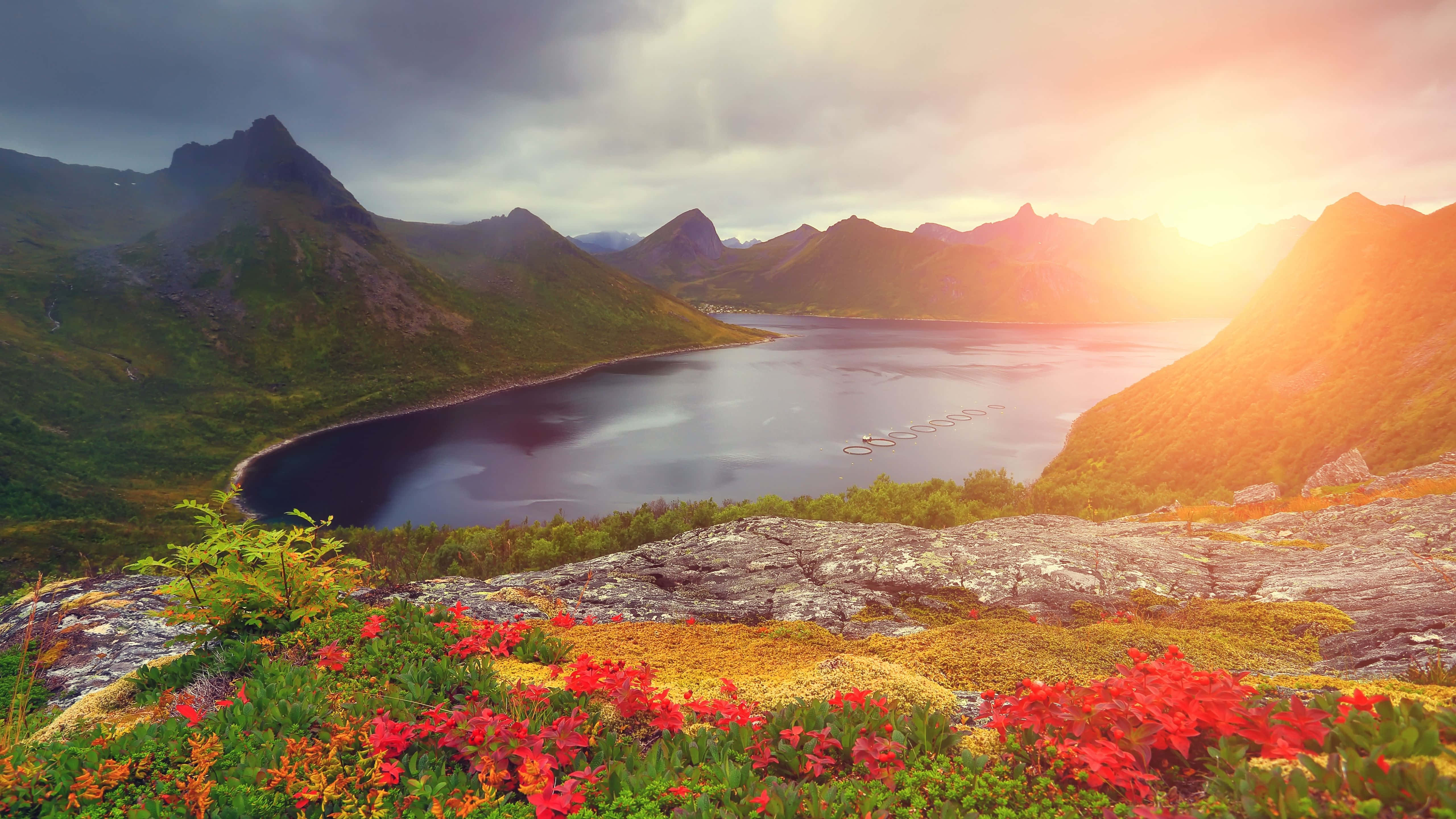 Farverigt flodudsigt ved solnedgang Wallpapers