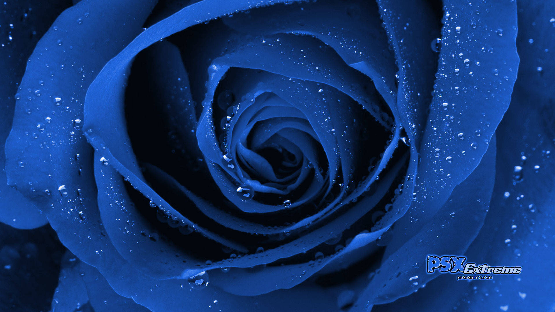 Fascinerende køligt blåt landskab Wallpapers