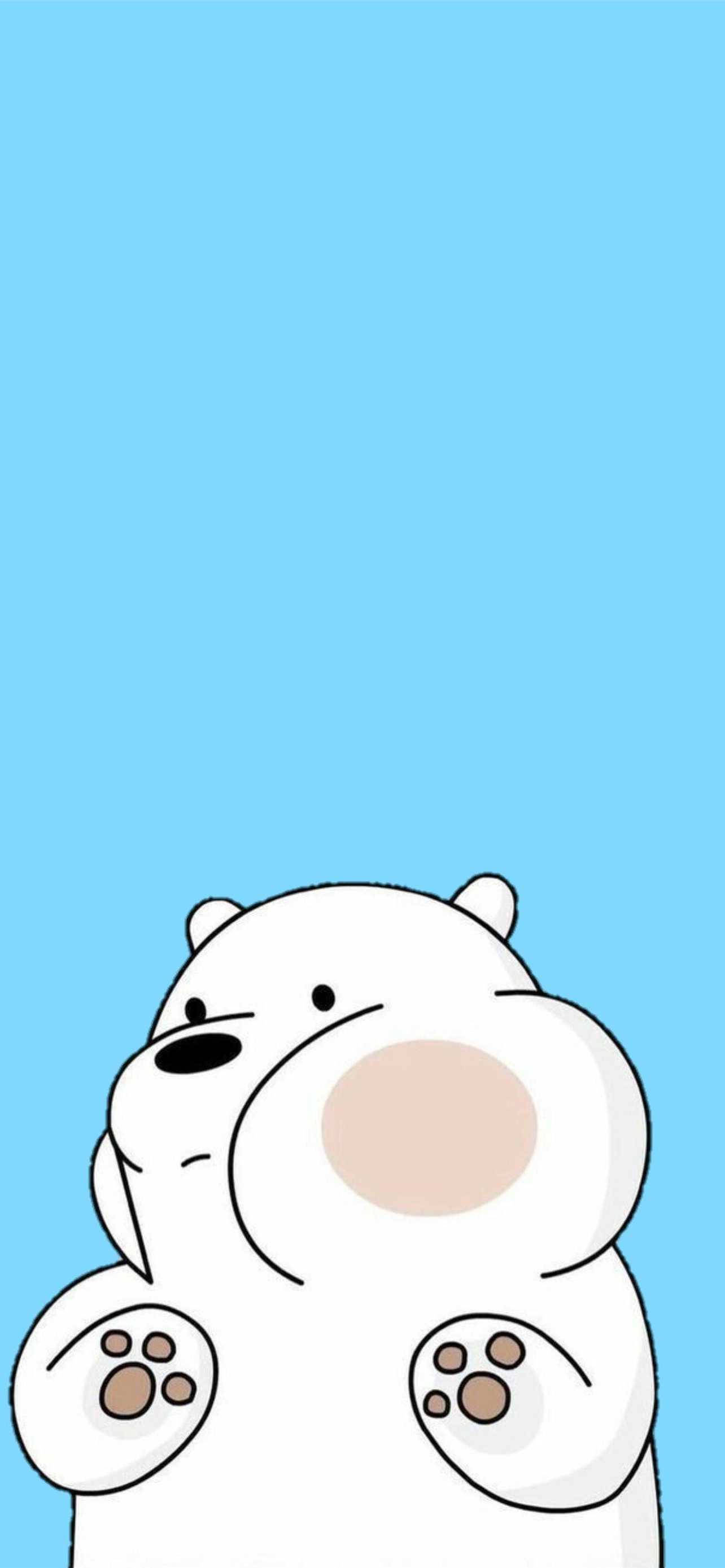 Fed isbjørn sød iPhone Wallpapers