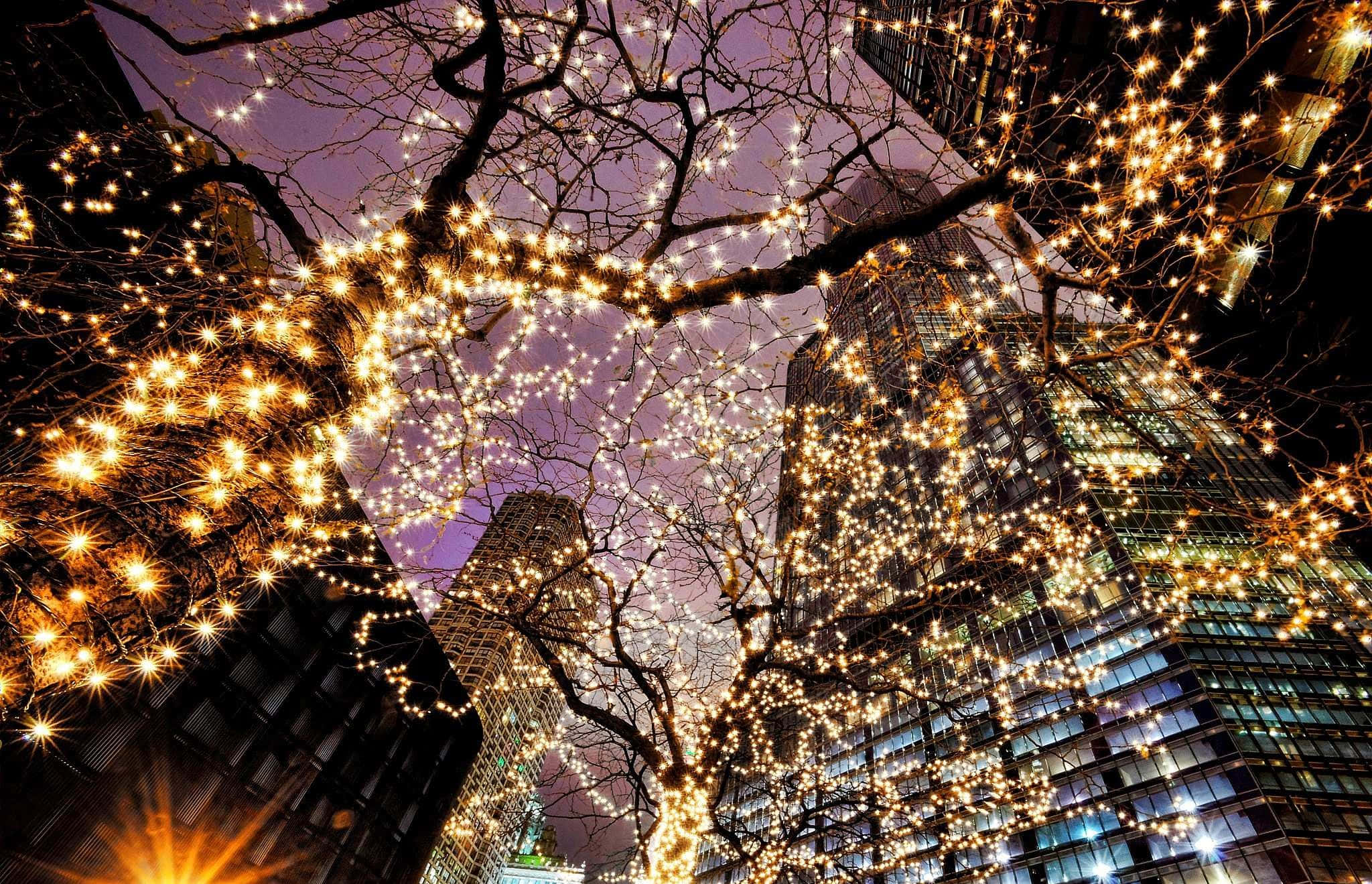Fejr juletiden med festlige julelys Wallpapers