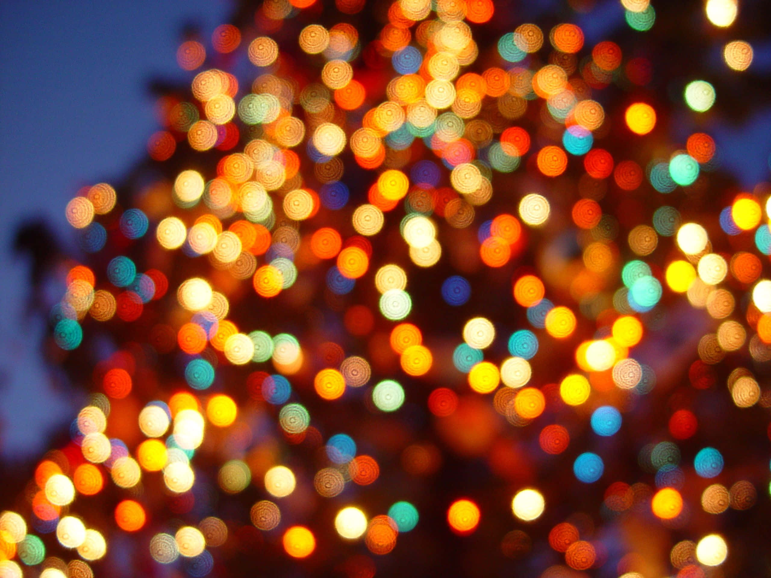 Fejr juletiden med funklende julelys Wallpapers