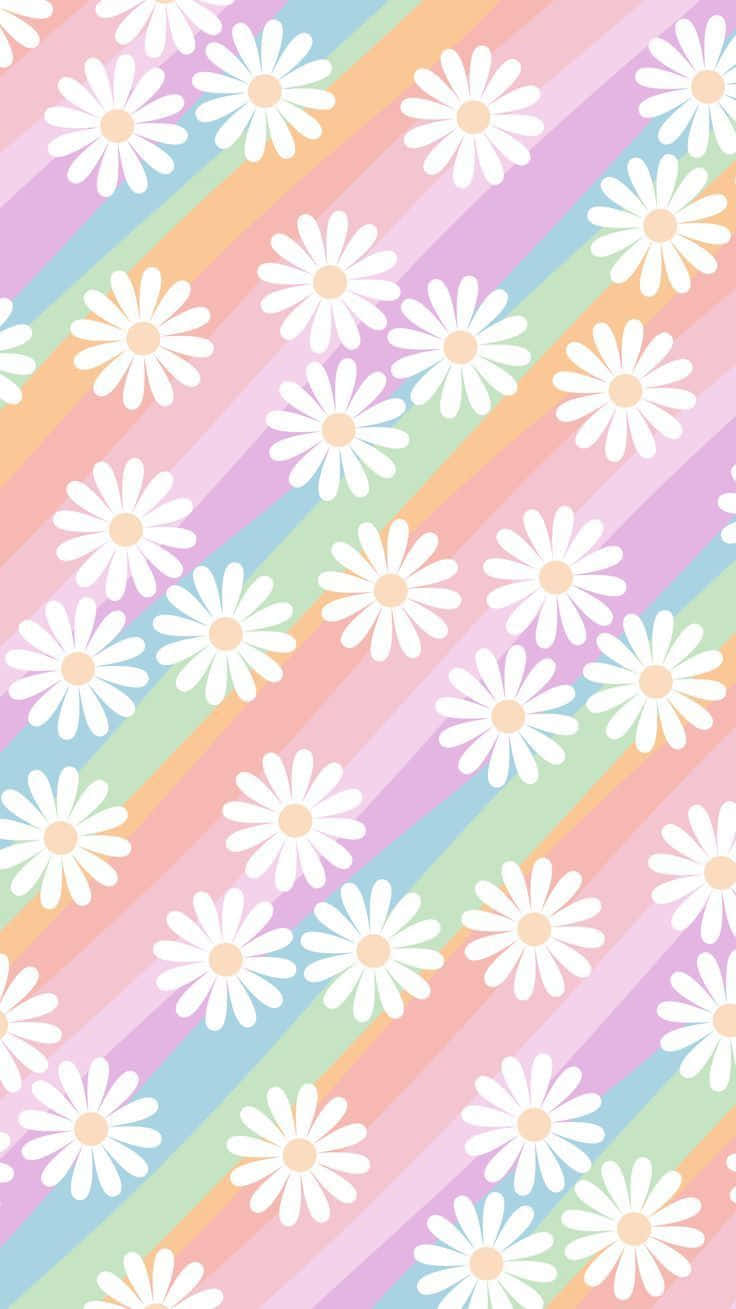 Fejr livet med en strålende regnbueæstetik Wallpapers