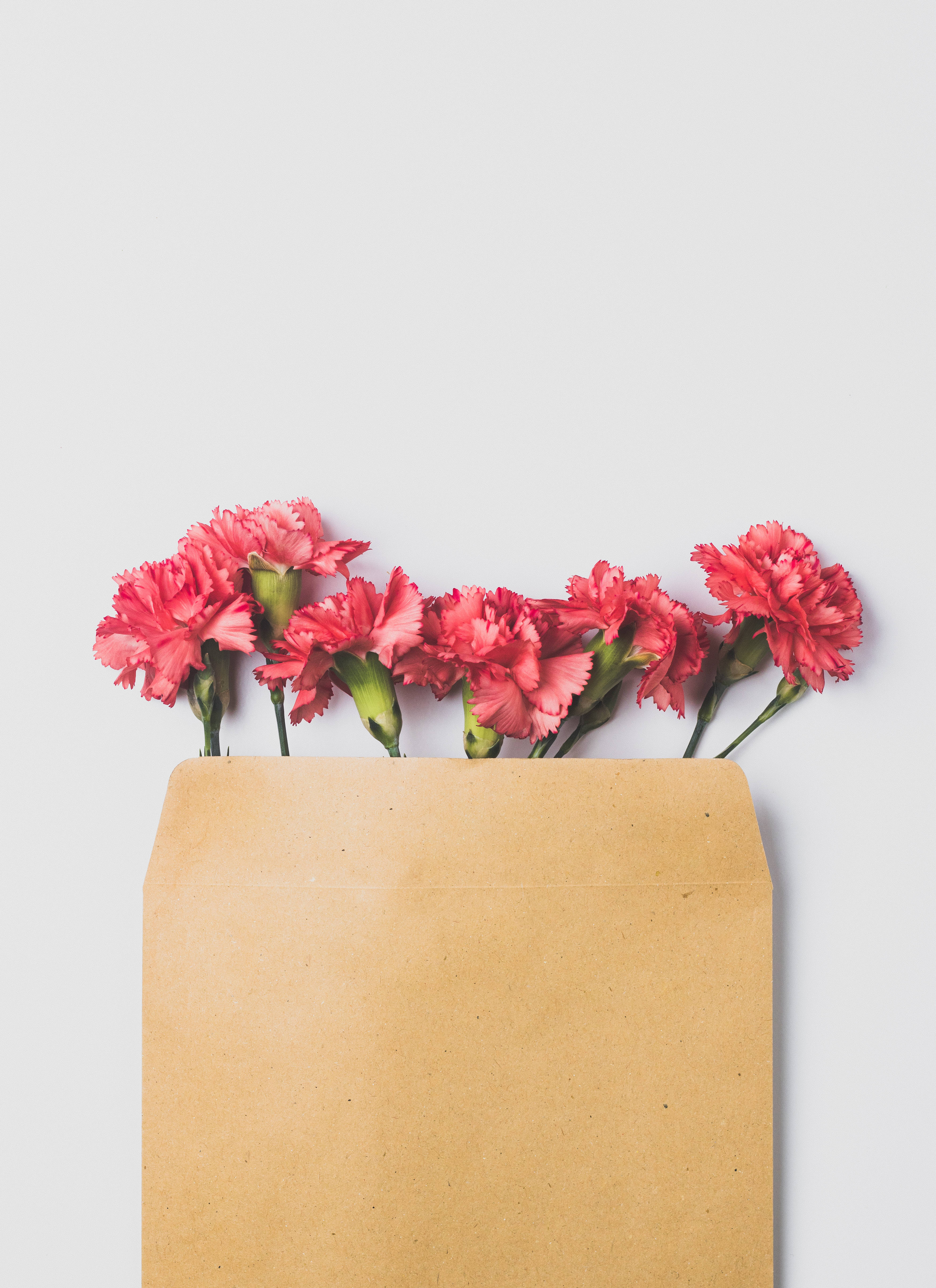 Fejr mor med en buket lyserøde blomster Wallpapers