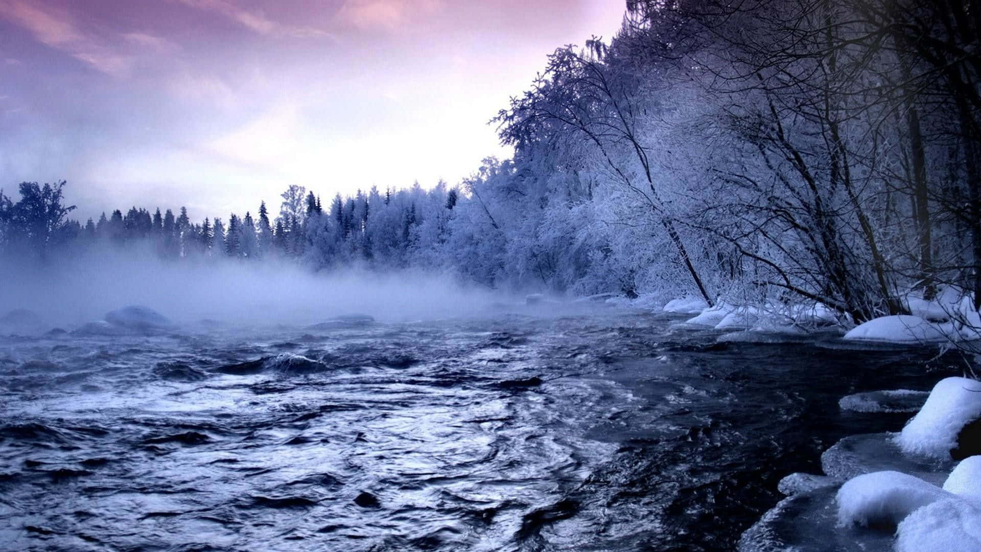Fejr skønheden og glæden ved hver sæson Wallpapers