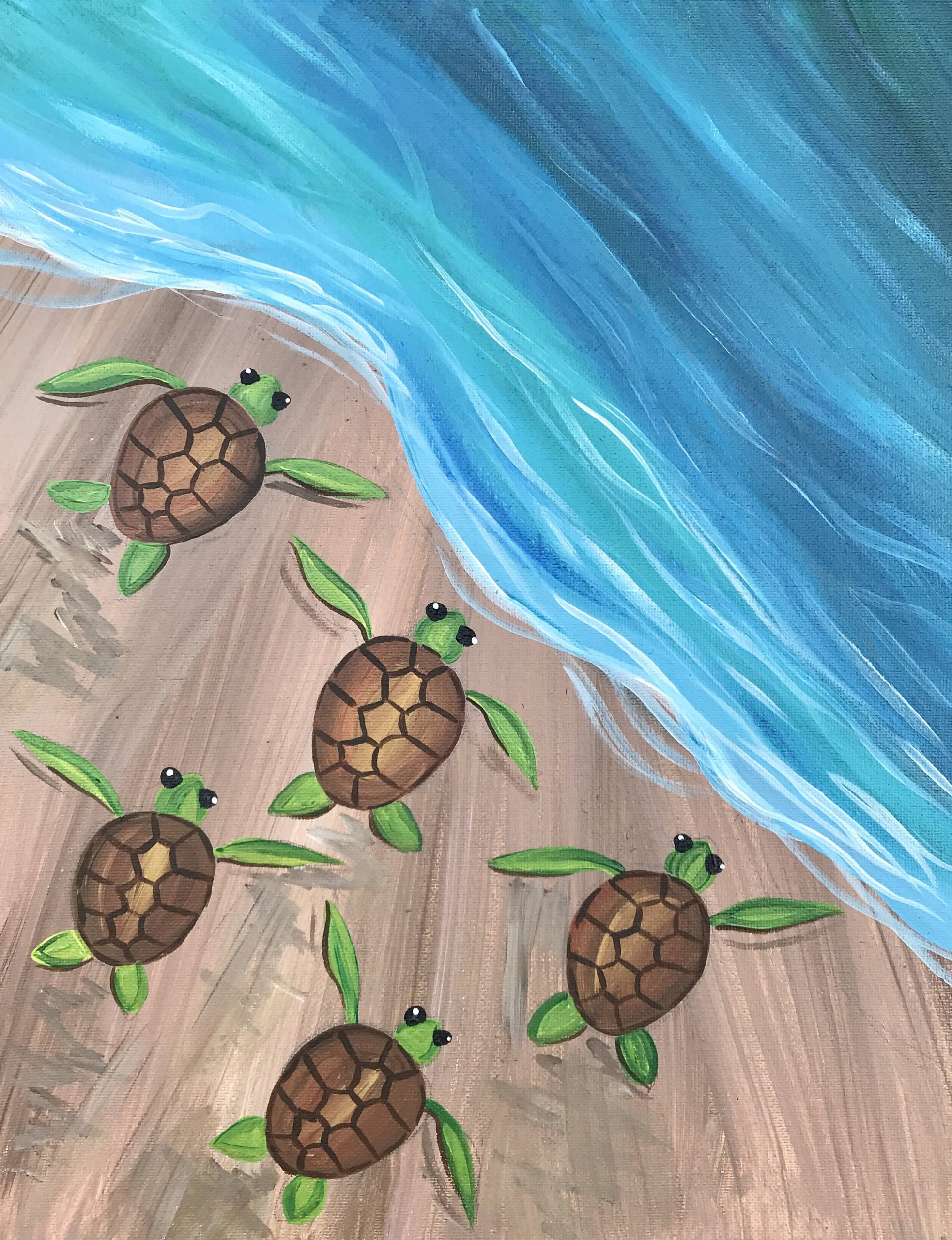 Fem søde skildpadder på stranden Wallpapers