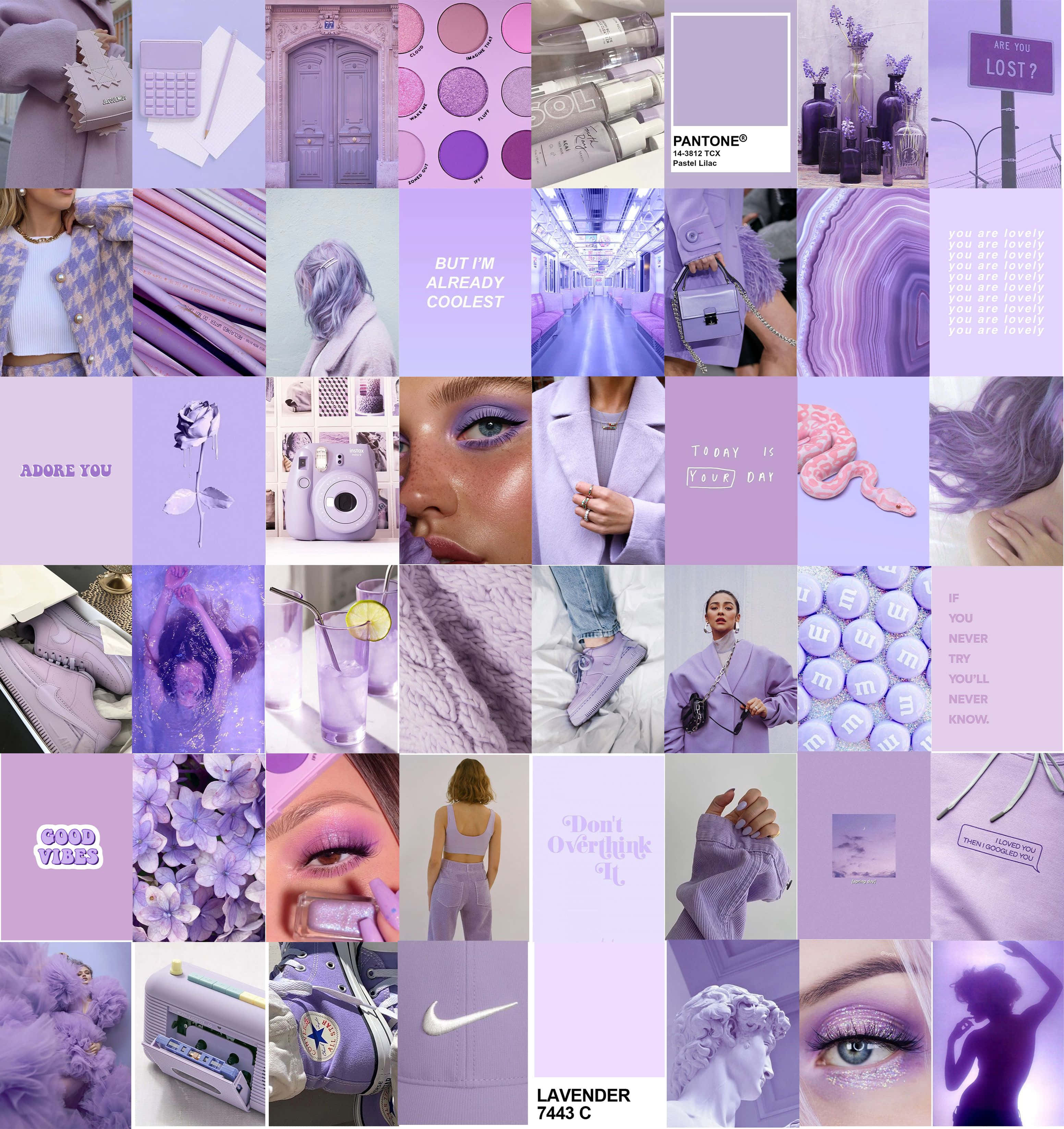 Feminin æstetik lilla collage Wallpapers