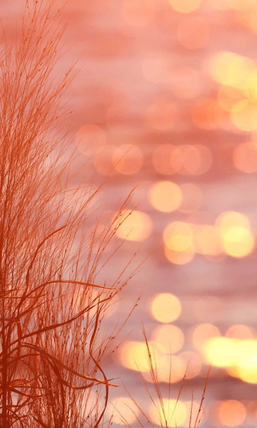 Ferskenfarvede billeder – æstetisk solnedgang Wallpapers