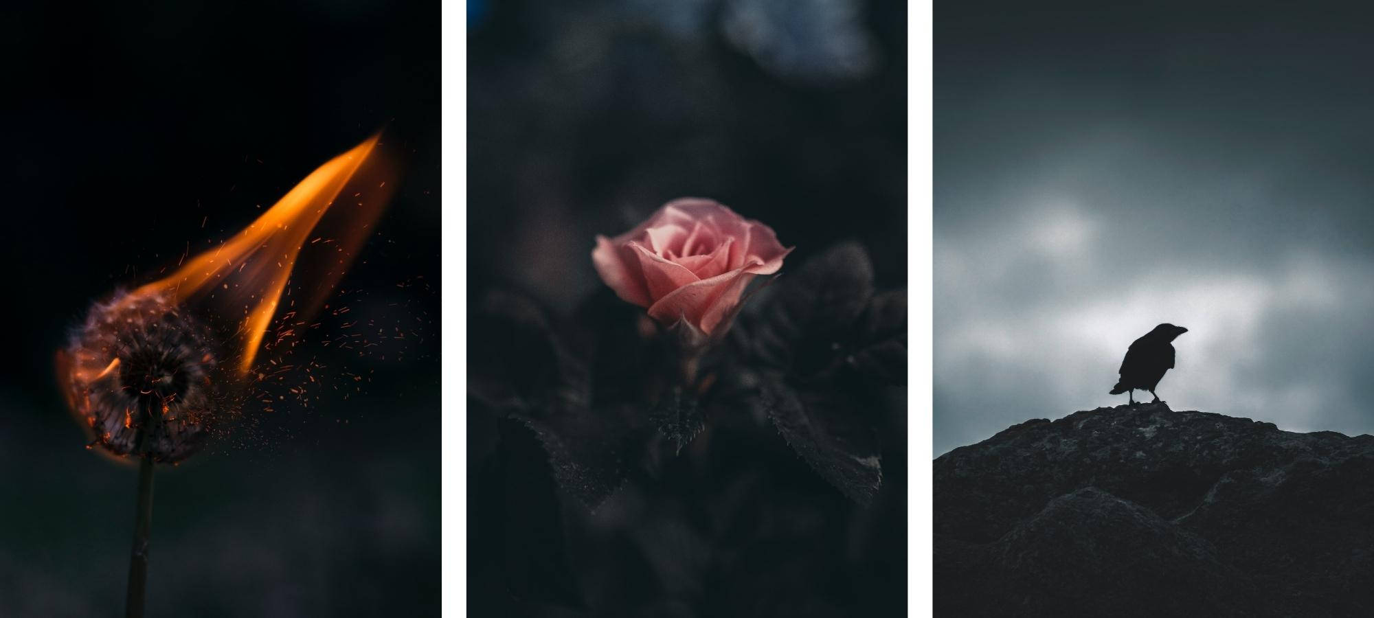 Find din indre mørke og slip dets kraft løs Wallpapers