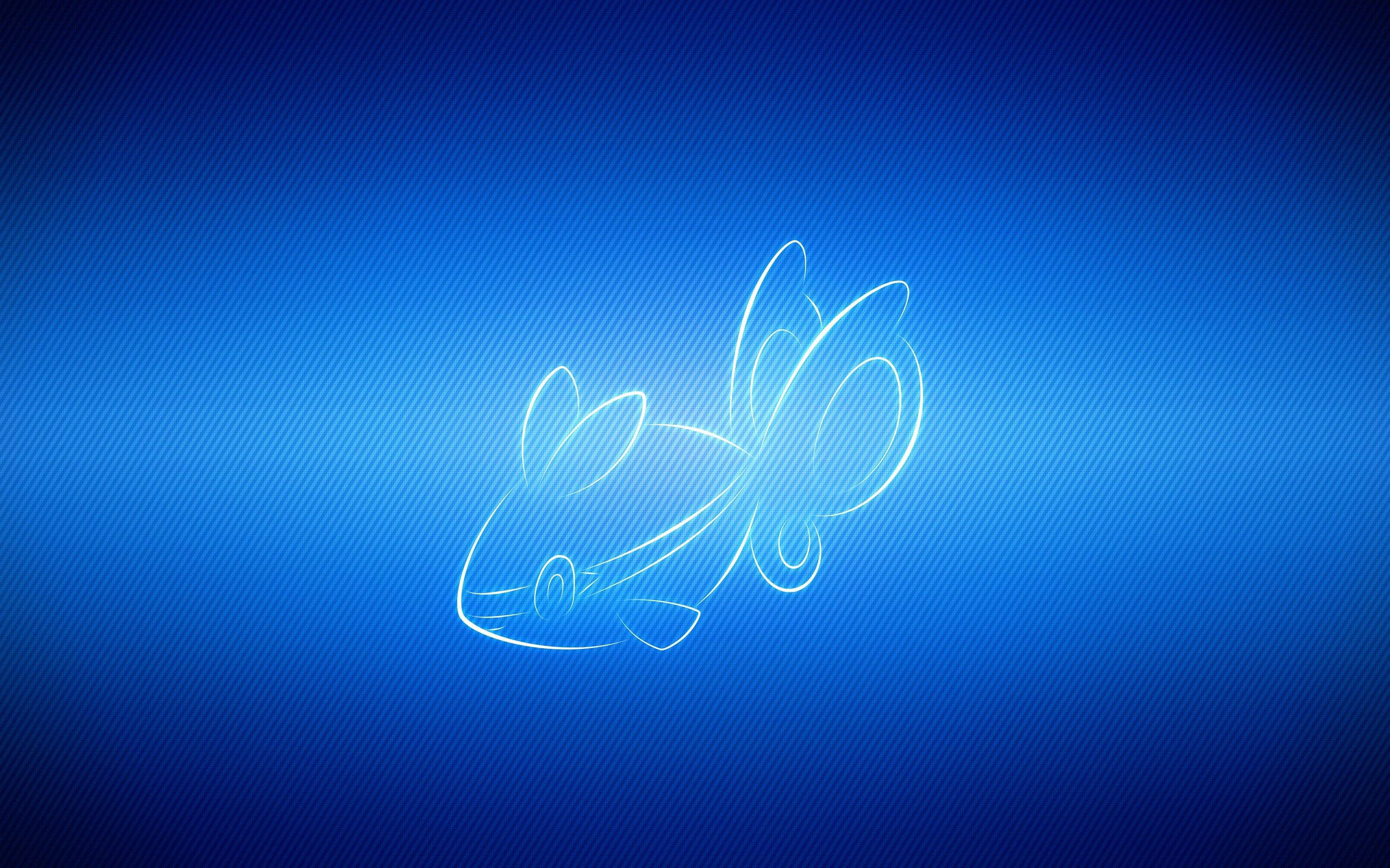 Finneon svømmer nær koralrev Wallpapers