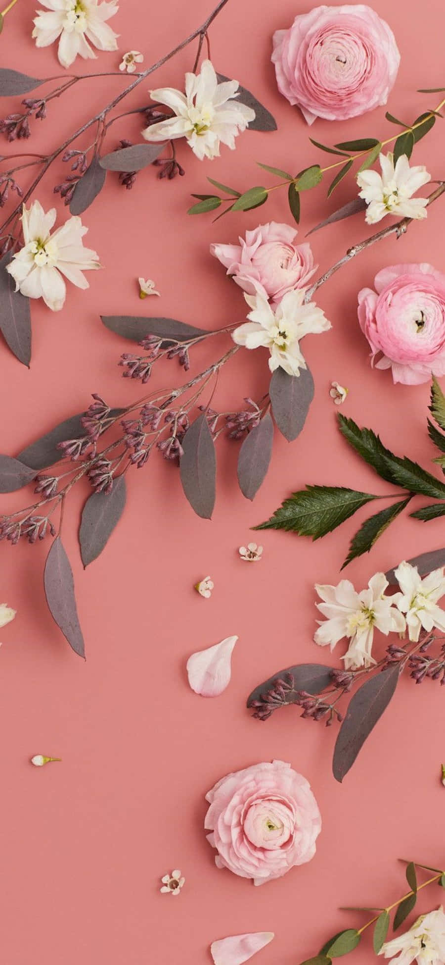 Føl dig rolig i et lyserødt og hvidt paradis Wallpapers