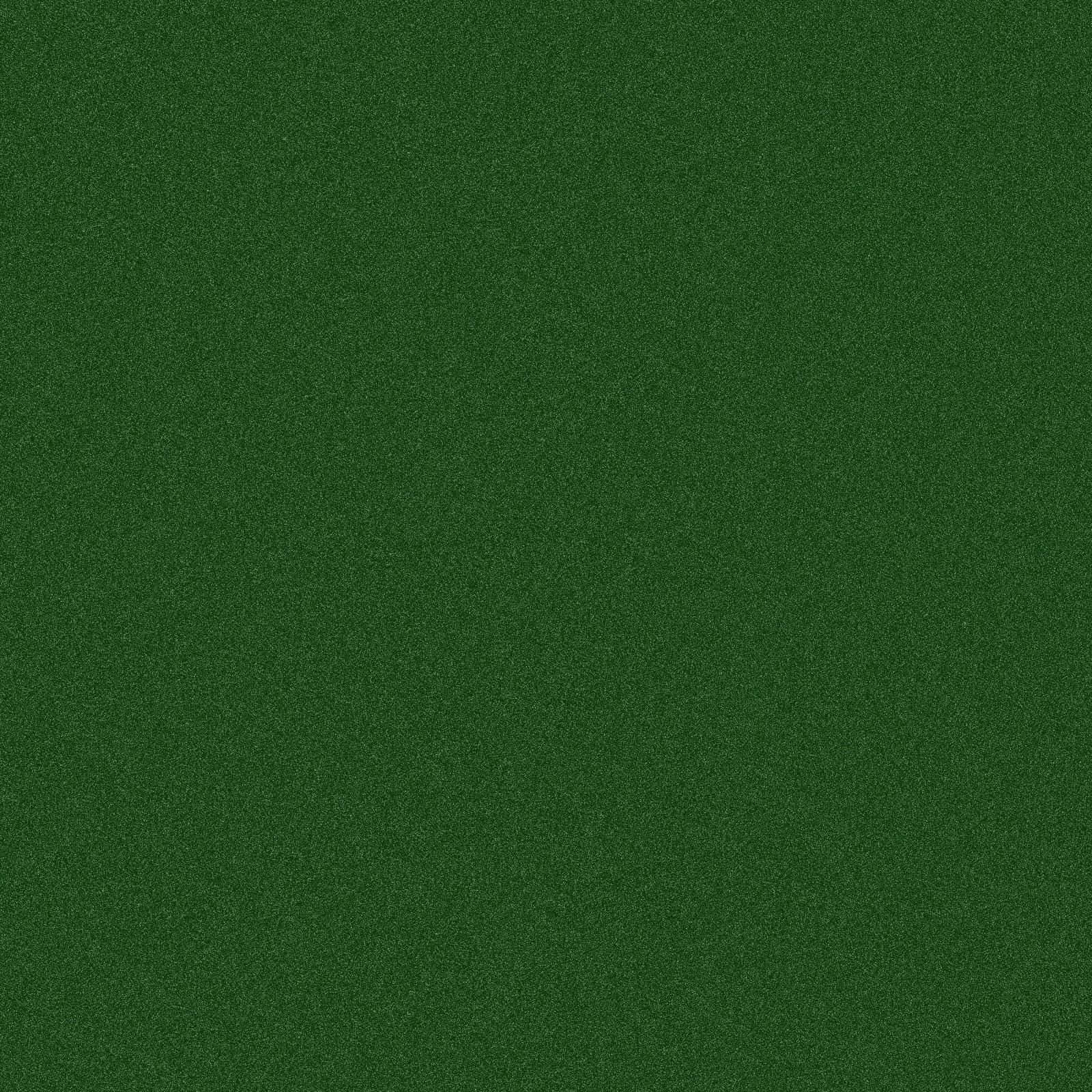 Fløjlsblød mørkegrøn Wallpapers