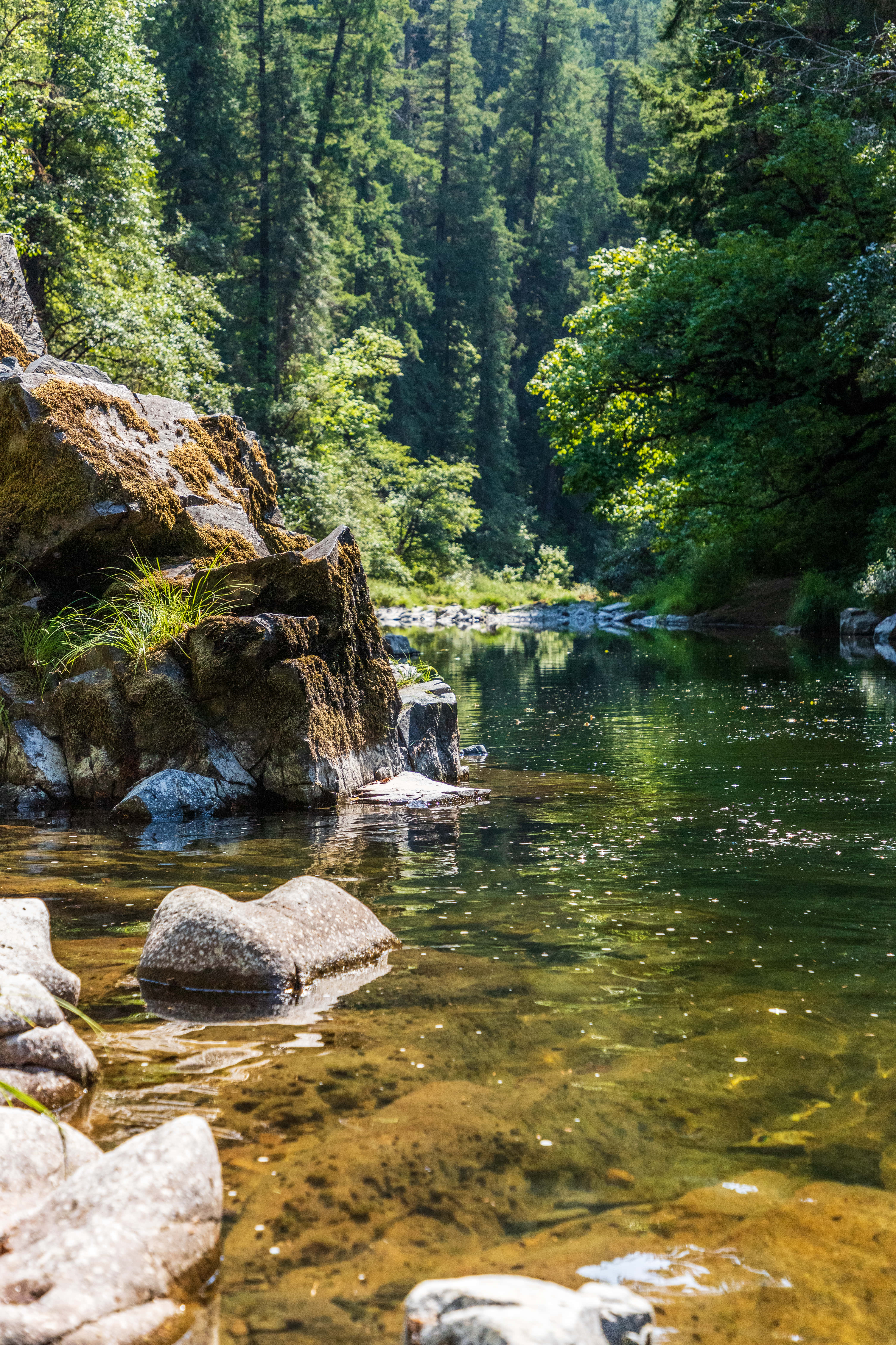 flodbaggrund Wallpapers