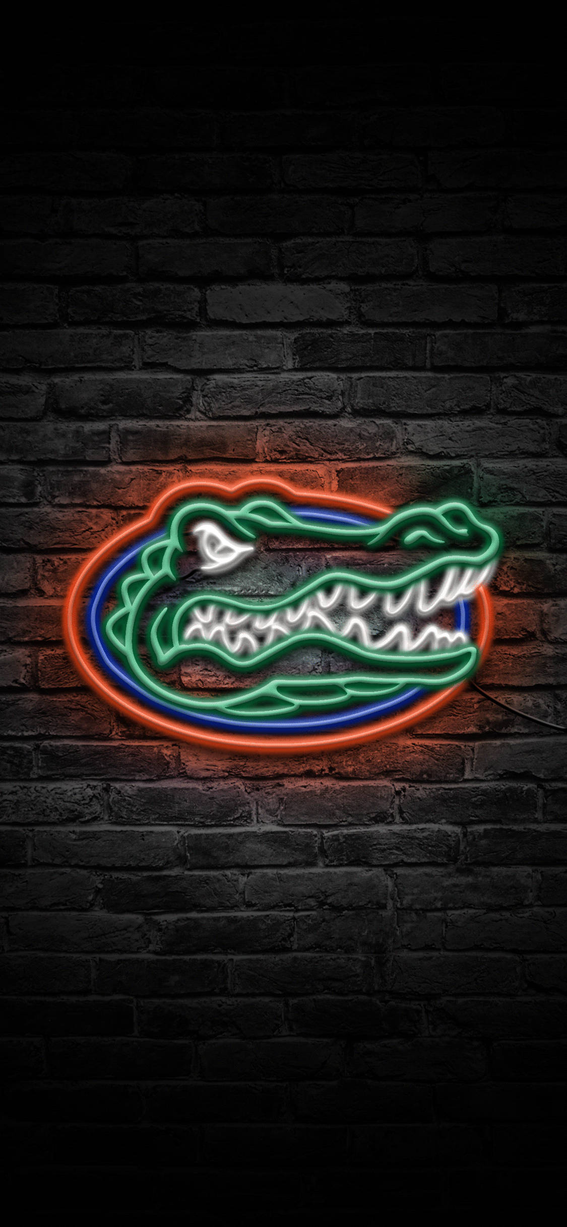 Florida Gators Logo I Neonlys Wallpapers