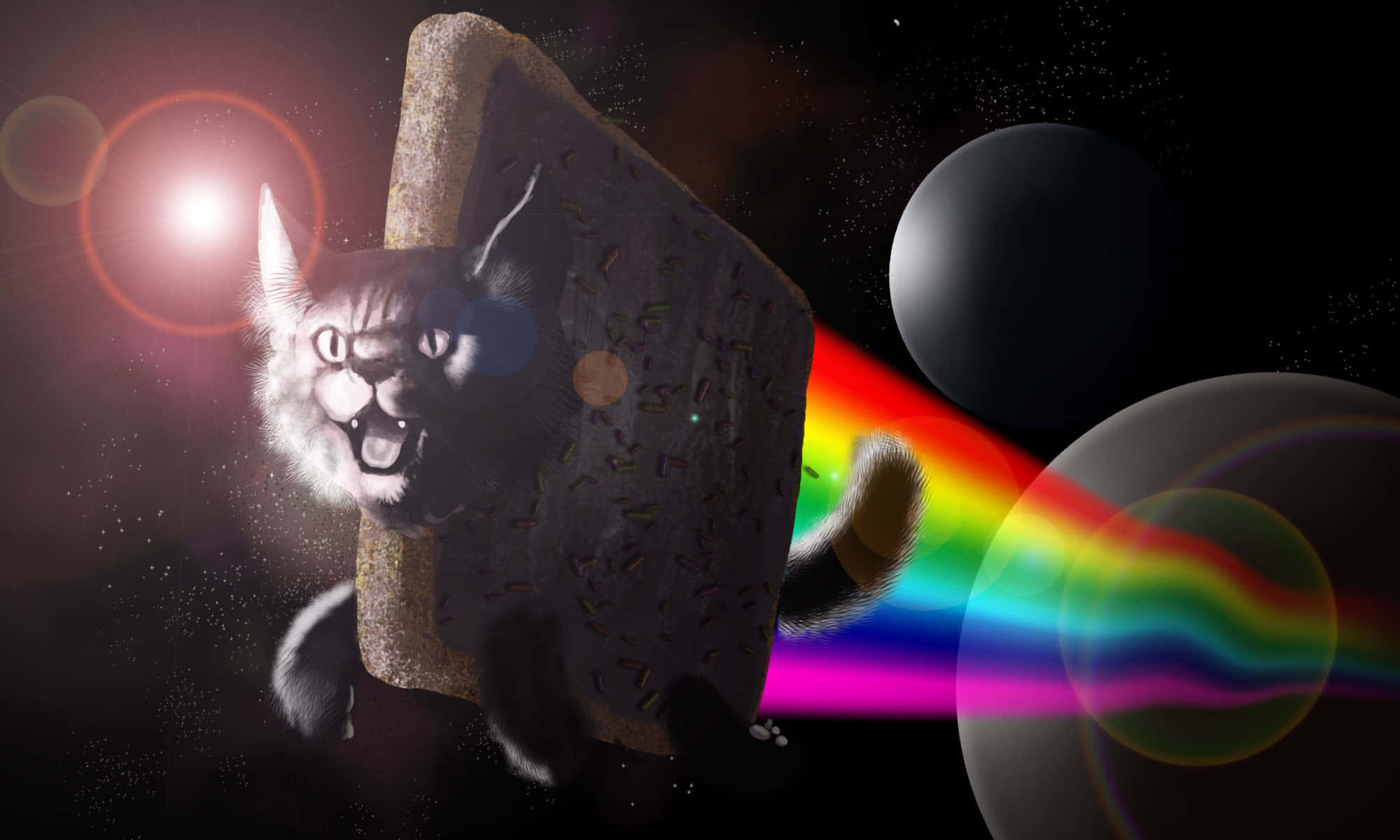 Flyvende Nyan Cat Meme Laptop Wallpapers