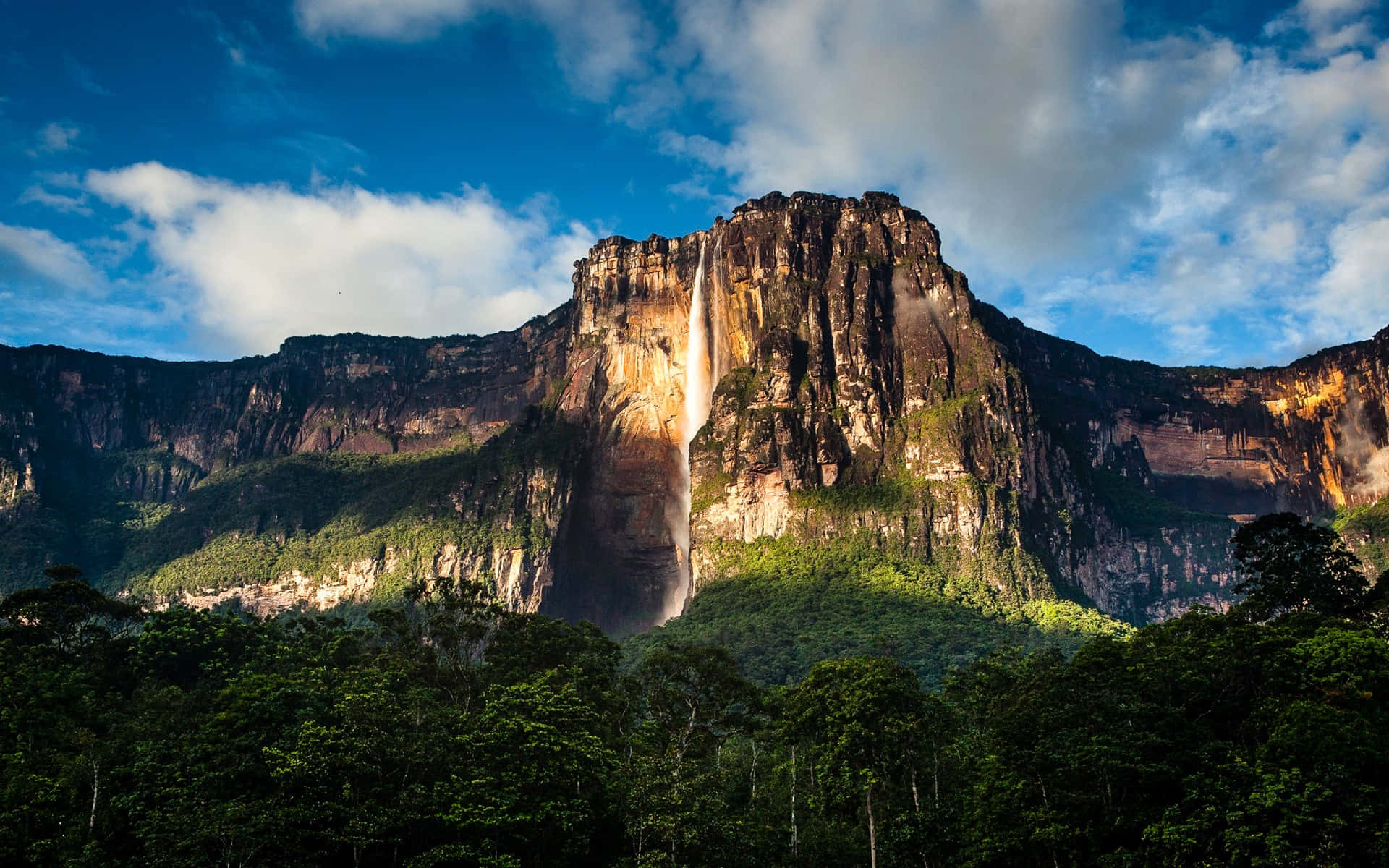 Fængslende fotografi af Angel Falls Wallpapers