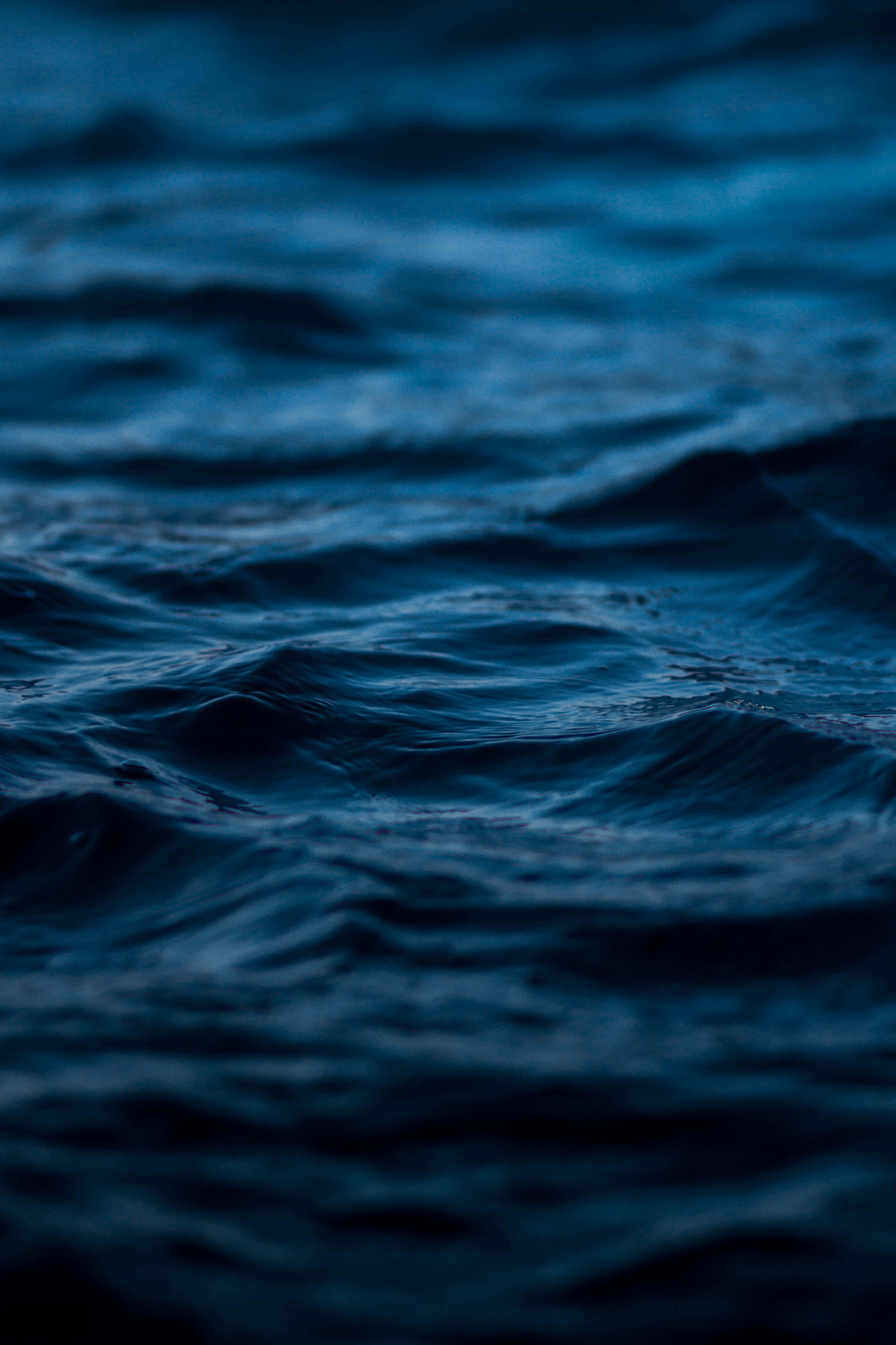 Fængslende Havdybder Wallpapers