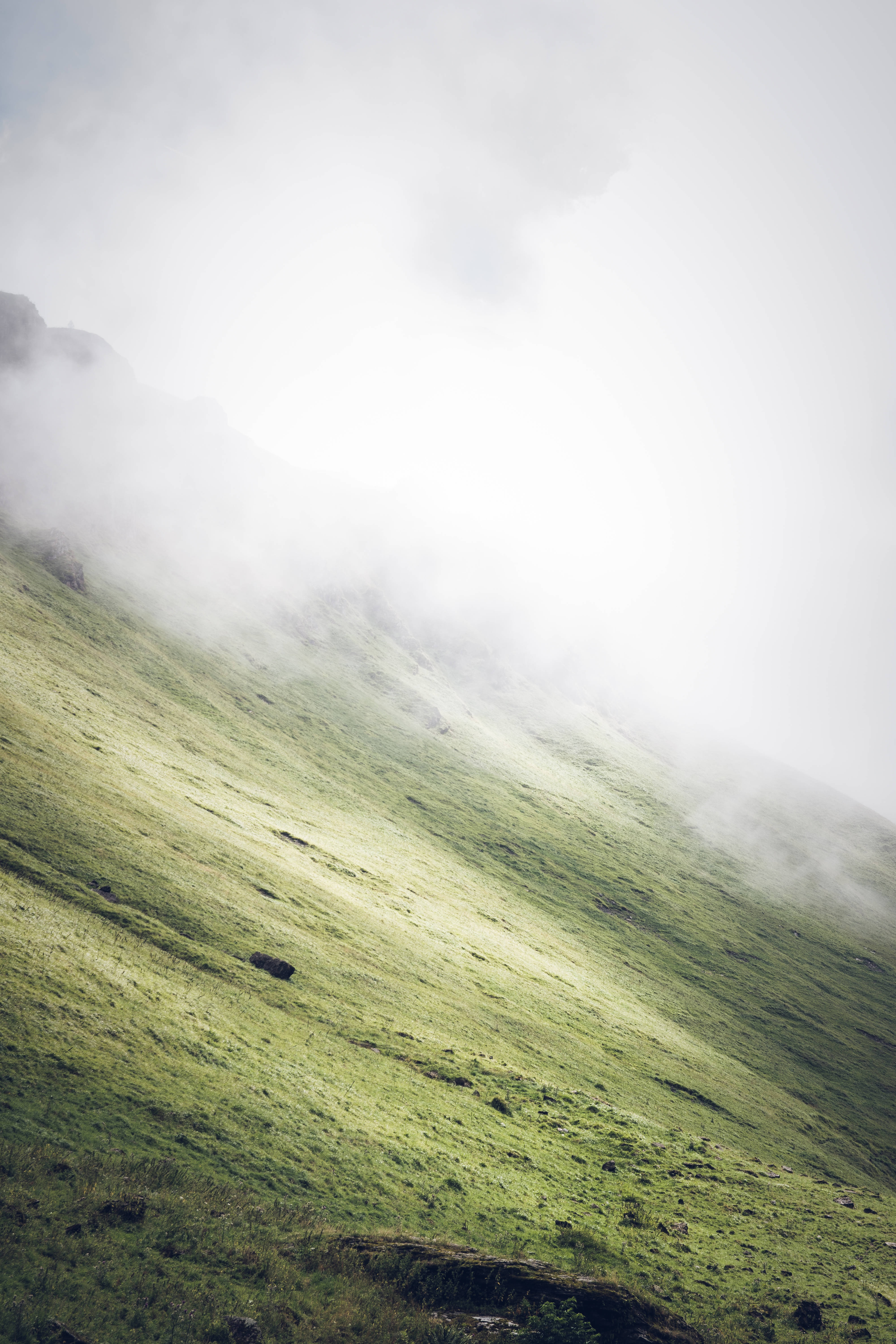 Fængslende iPhone Plus i kølig blå Wallpapers