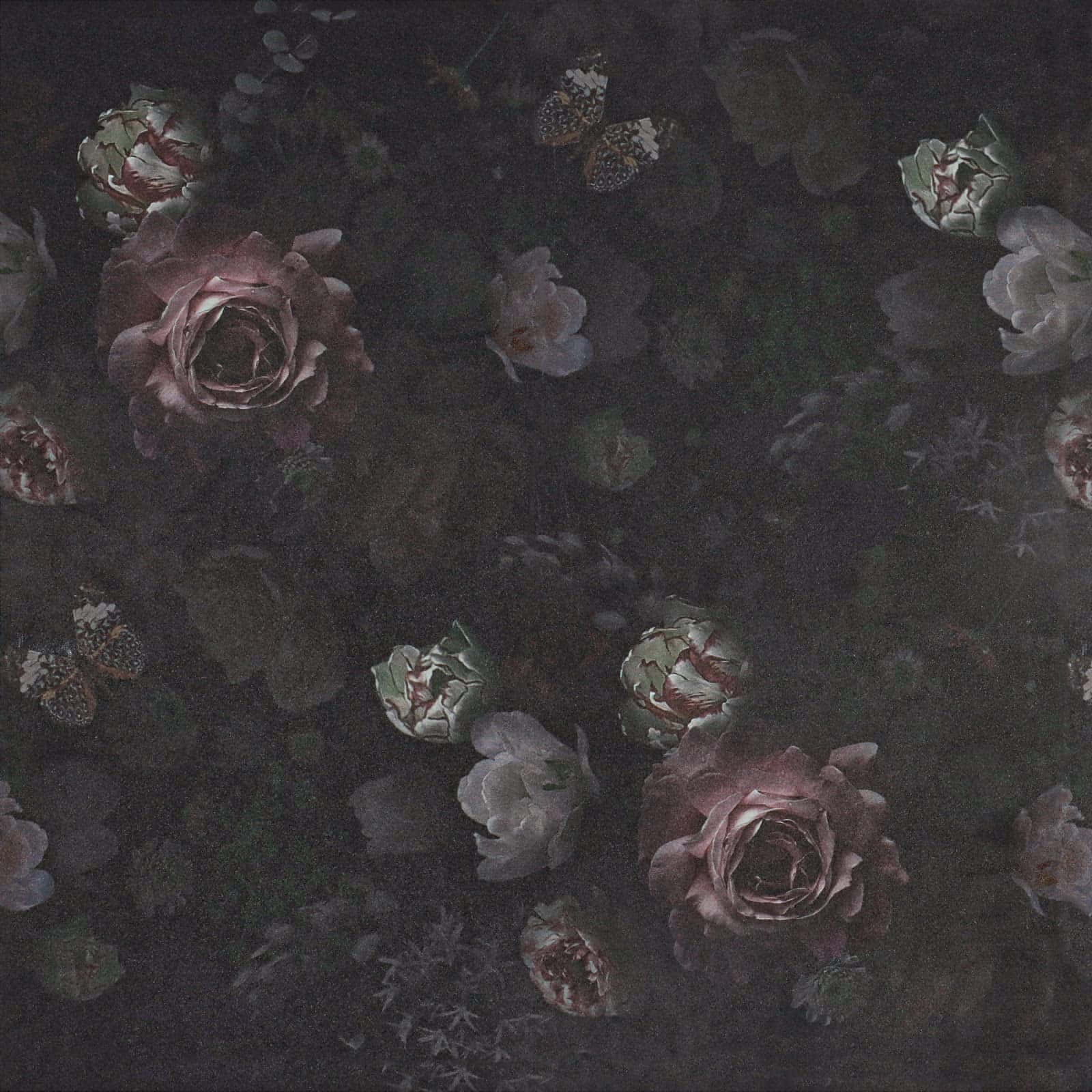 Fængslende mørk blomsterbaggrund Wallpapers