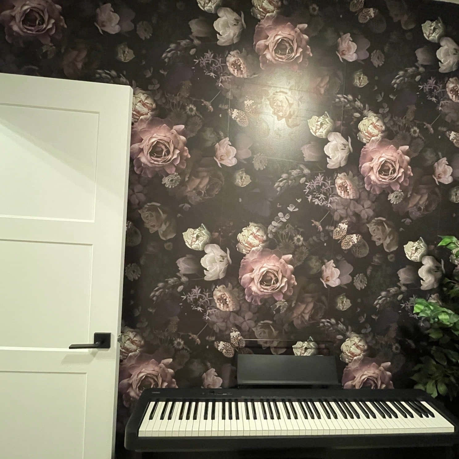 Fængslende mørk blomsterbaggrund Wallpapers