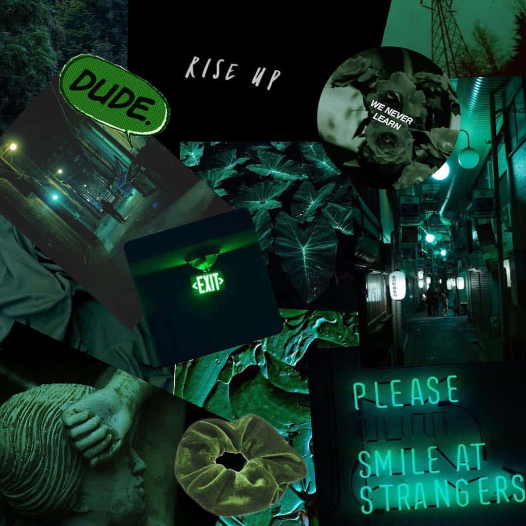 Fængslende mørkegrøn æstetisk baggrund Wallpapers