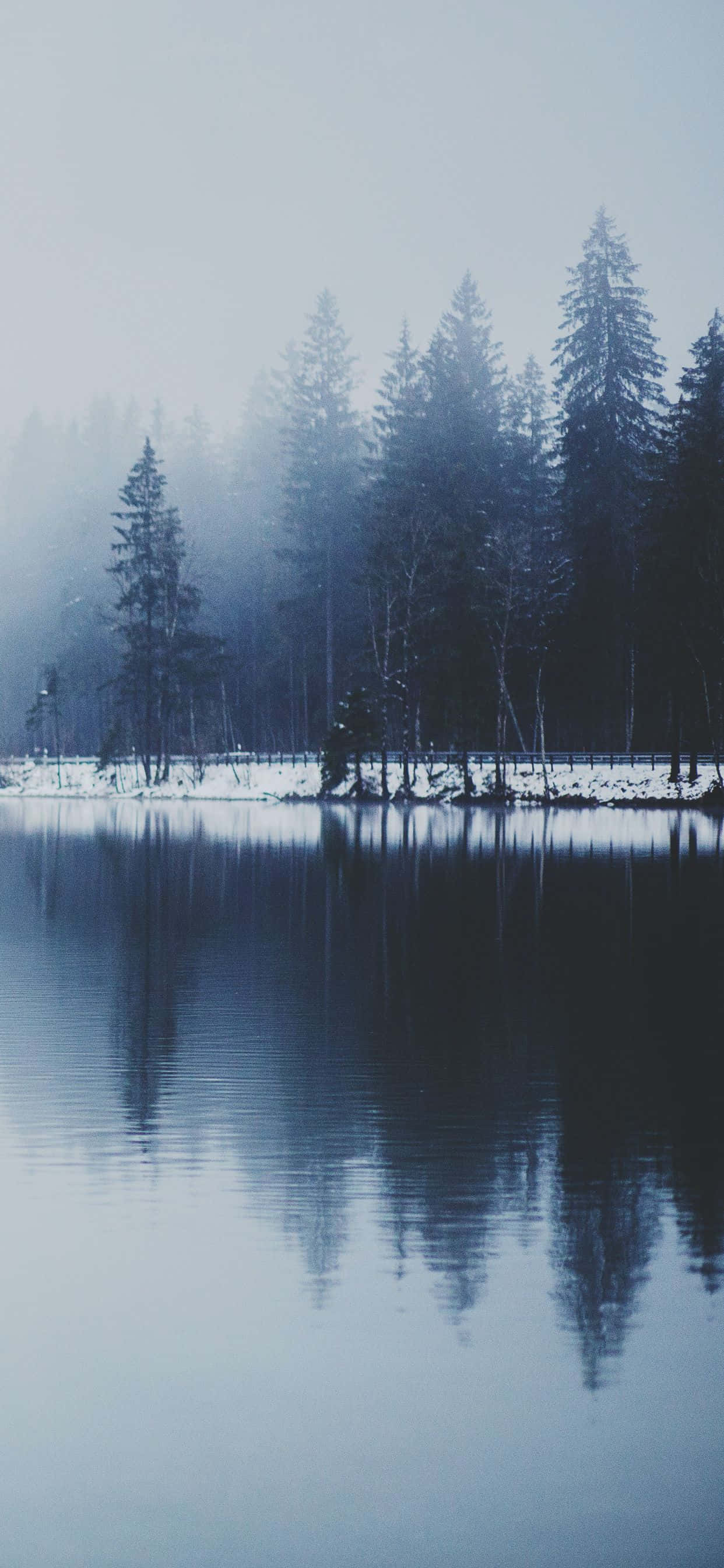 Fængslende Snow iPhone Wallpapers