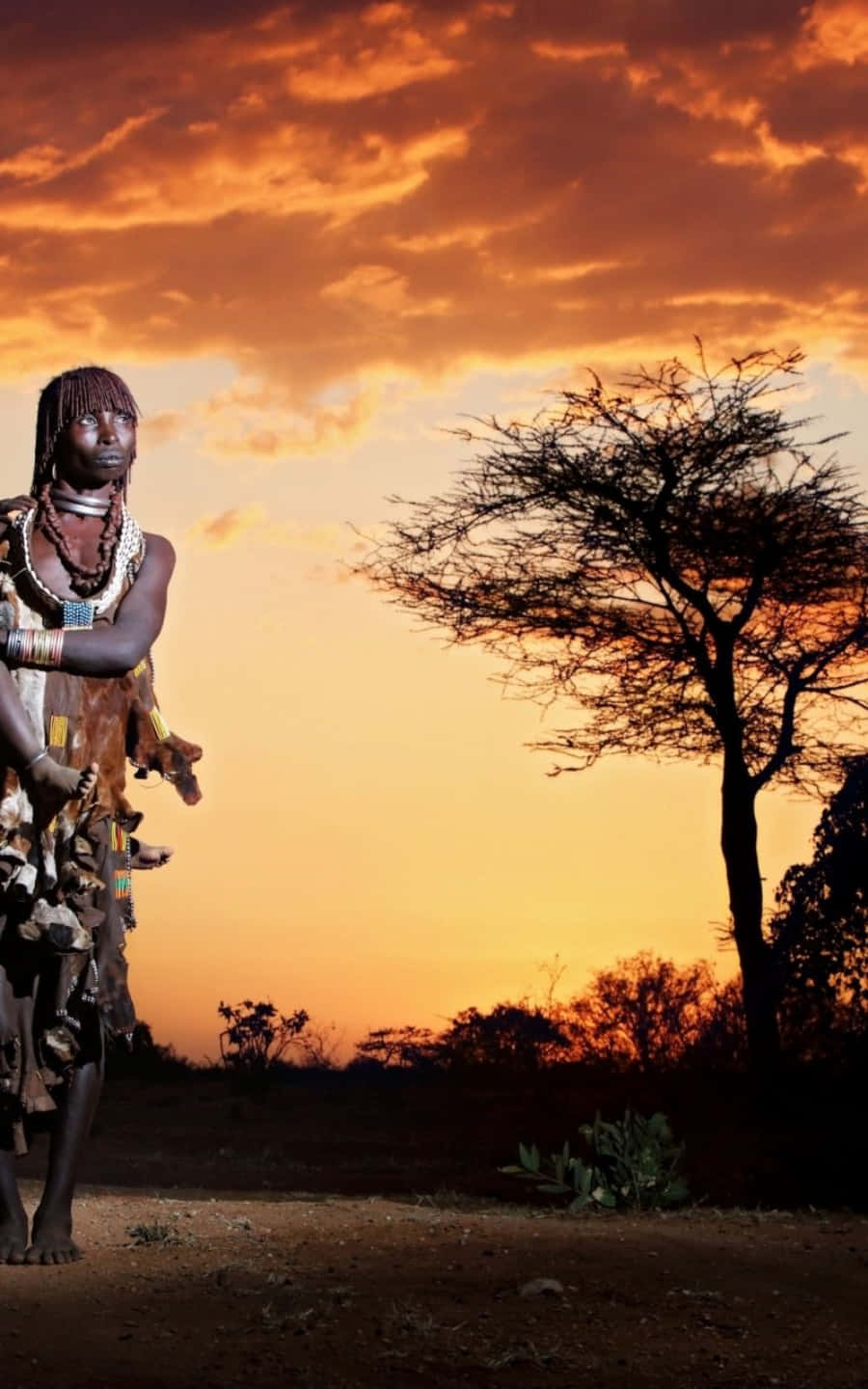 Hold forbindelsen med den nyeste African Phone Wallpapers