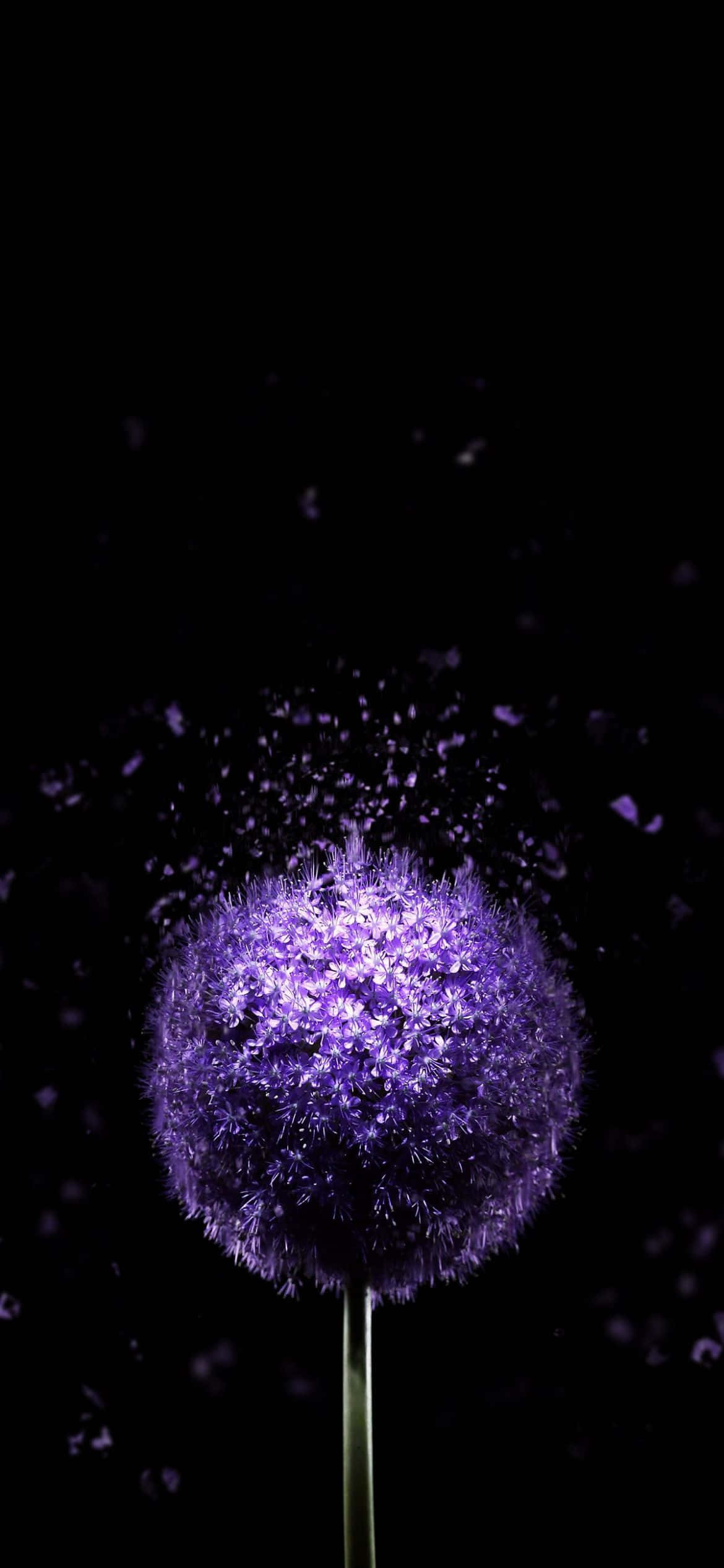 Fordyb dig i fremtiden med iPhone 13 Wallpapers