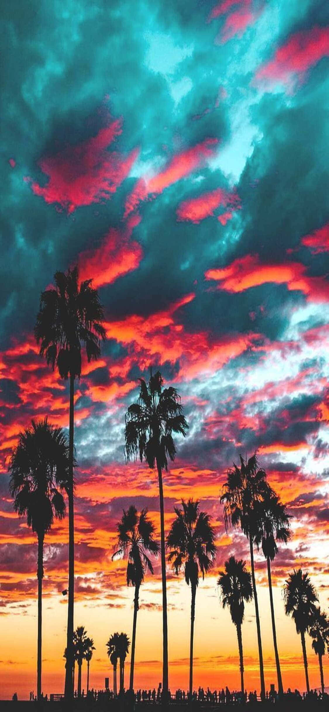 Fordyb dig straks i Californiens skønhed med din nye iPhone X Wallpapers