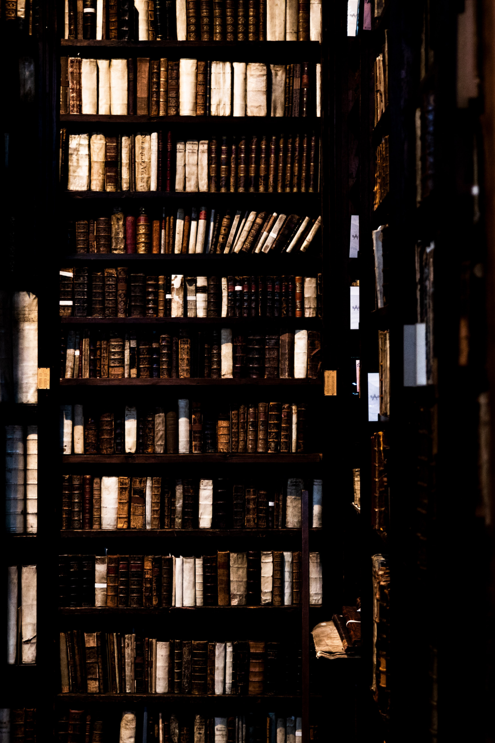 Fordybelse i skyggerne af Dark Academia Wallpapers