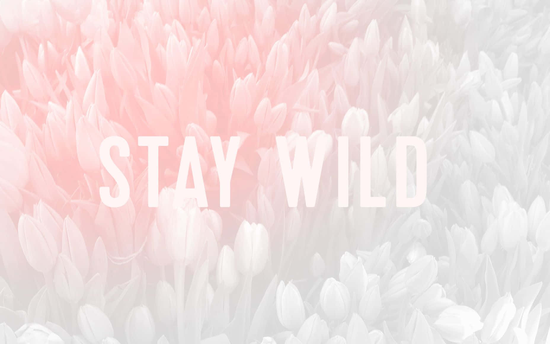 Forkæl dig selv med denne søde pastelbaggrund Wallpapers