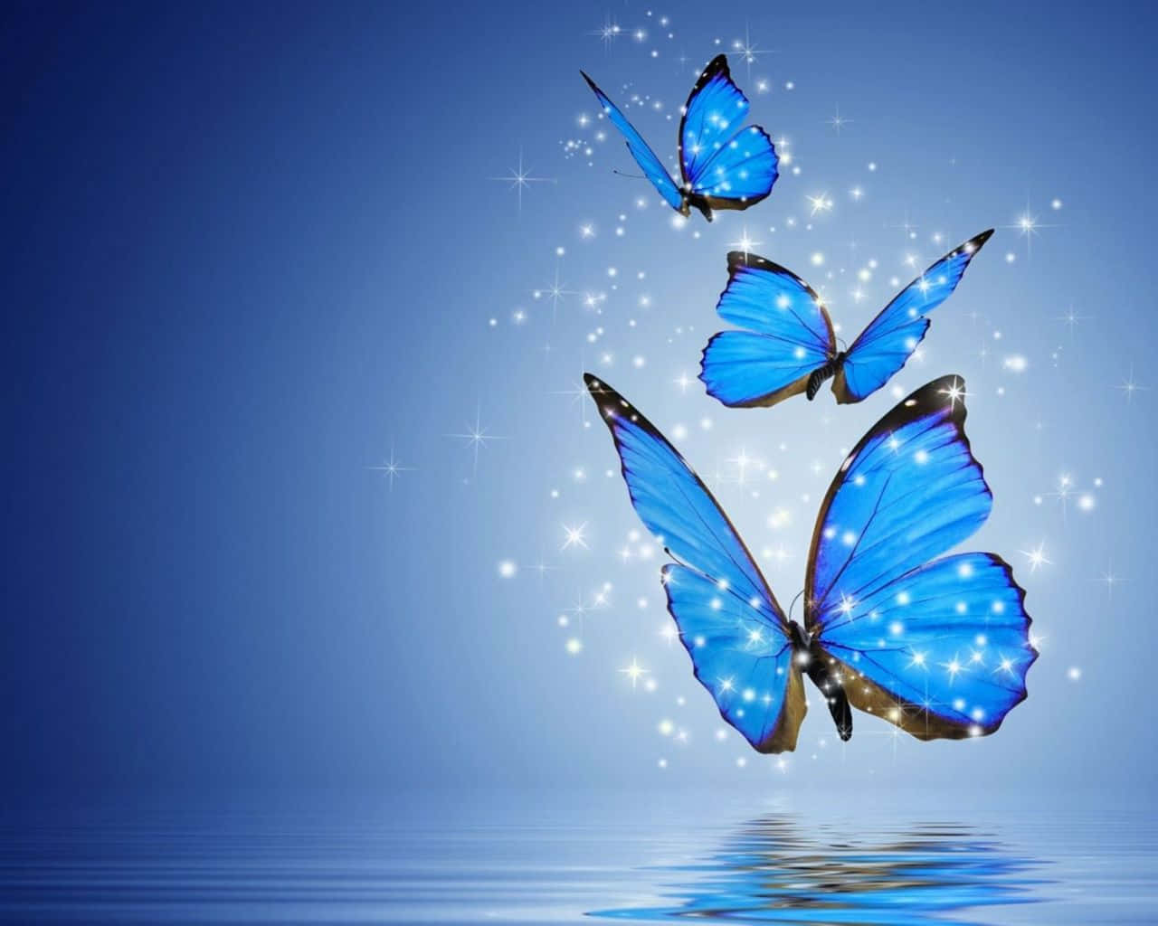 Fortryllende æstetisk sommerfuglebaggrund Wallpapers