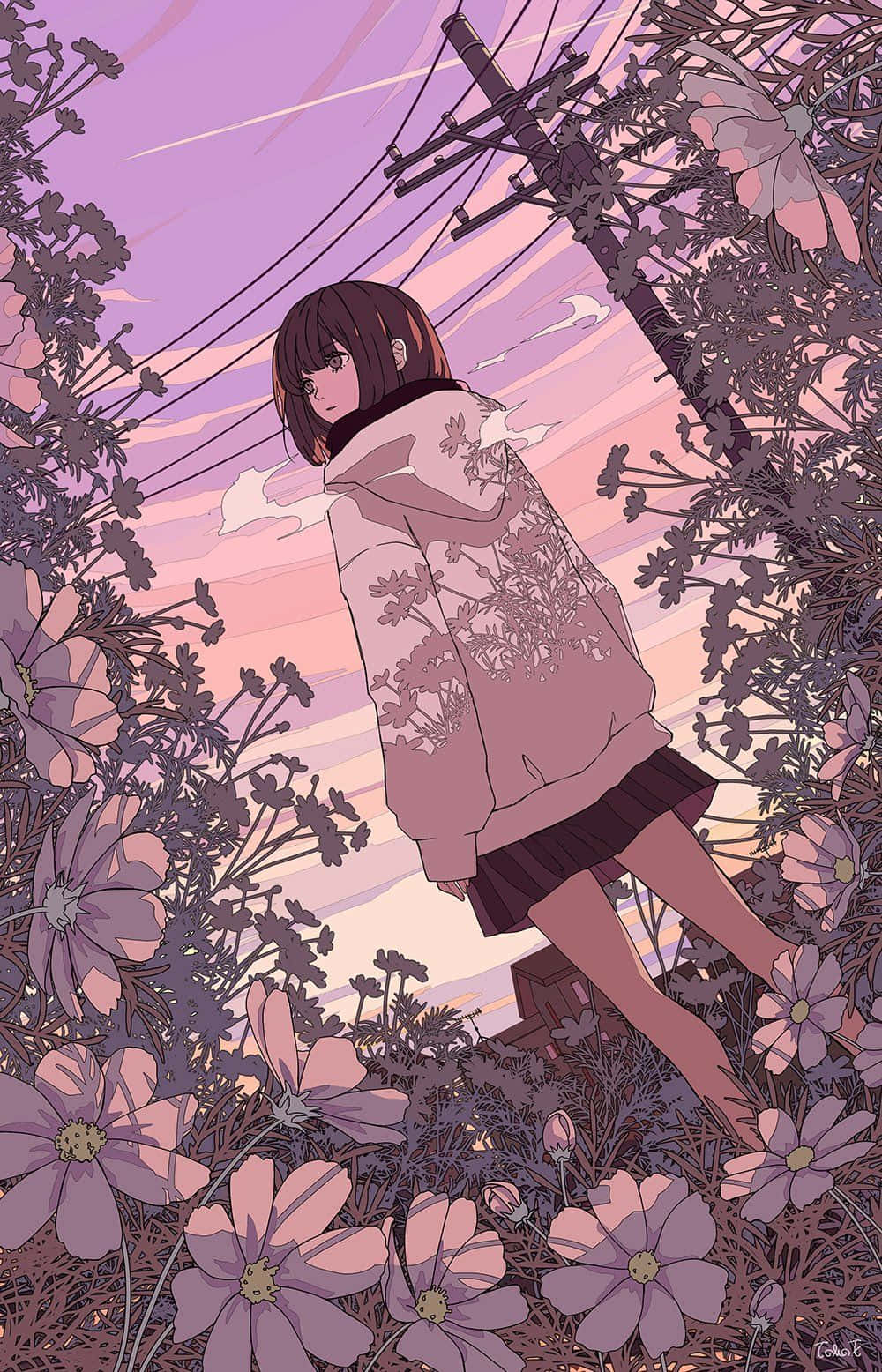 Fortryllende anime-landskab med solnedgang Wallpapers