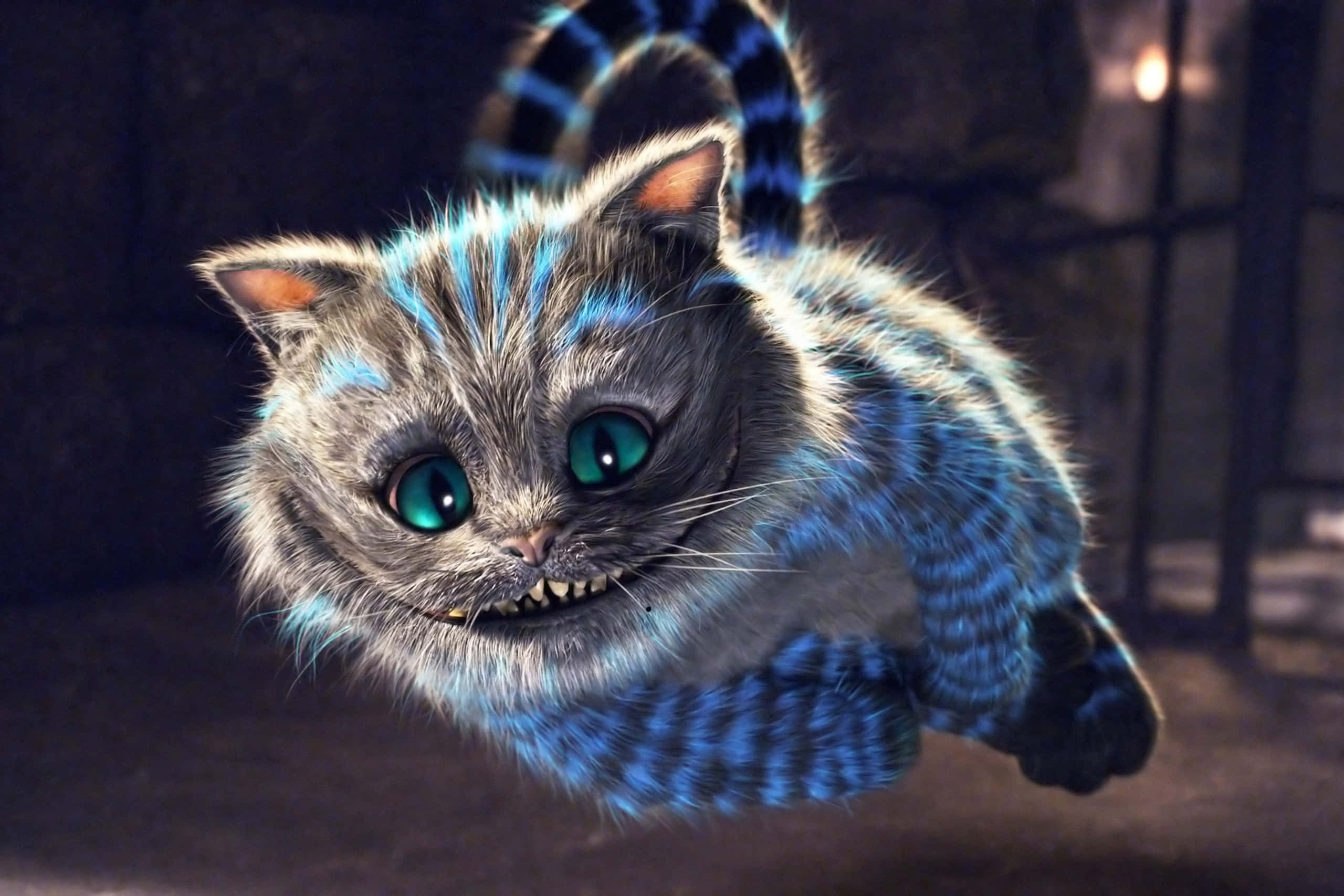 Fortryllende Cheshire Cat kigger intenst på den forvirrede Alice Wallpapers