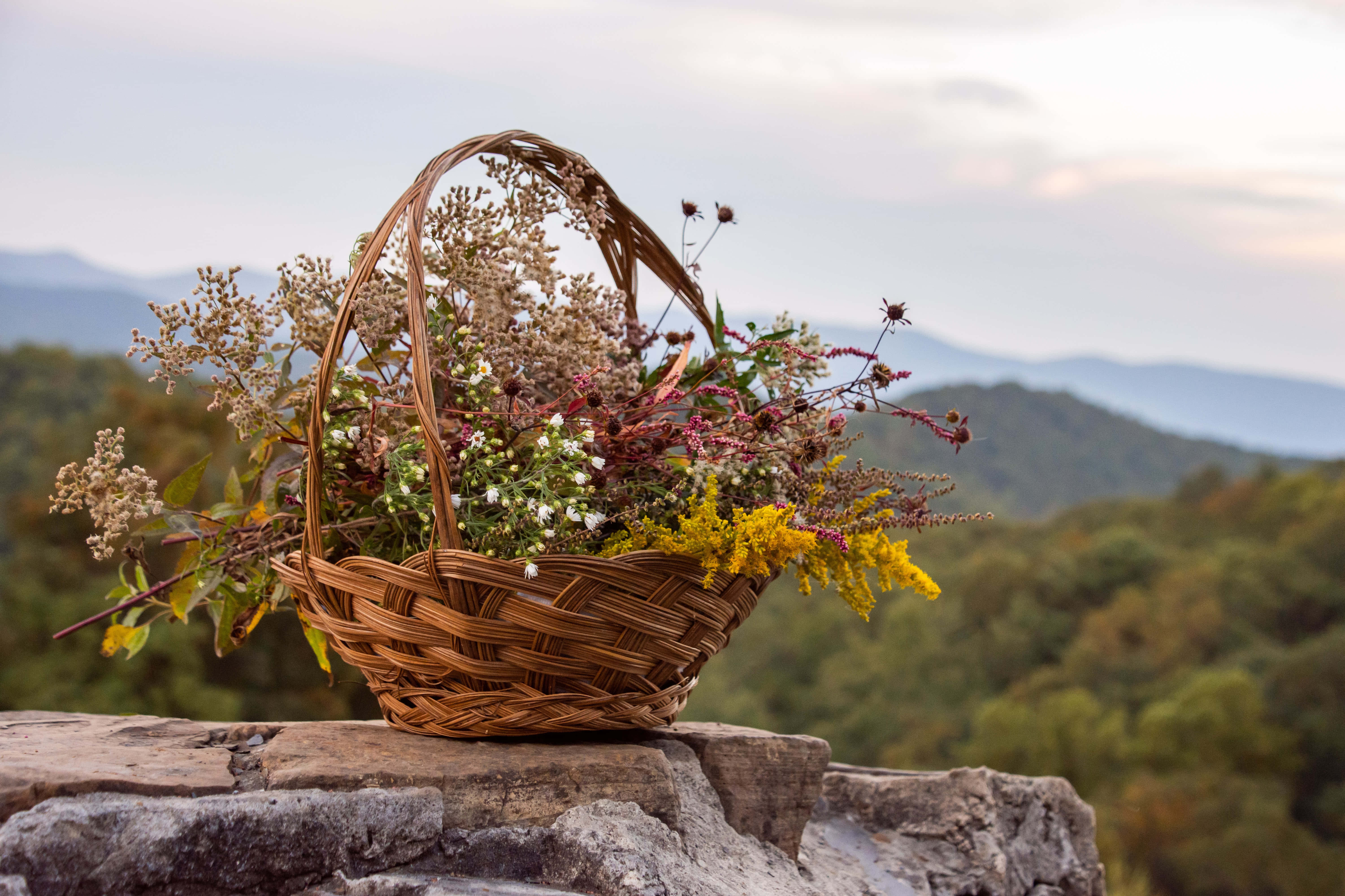 Fortryllende Cottagecore baggrund Wallpapers