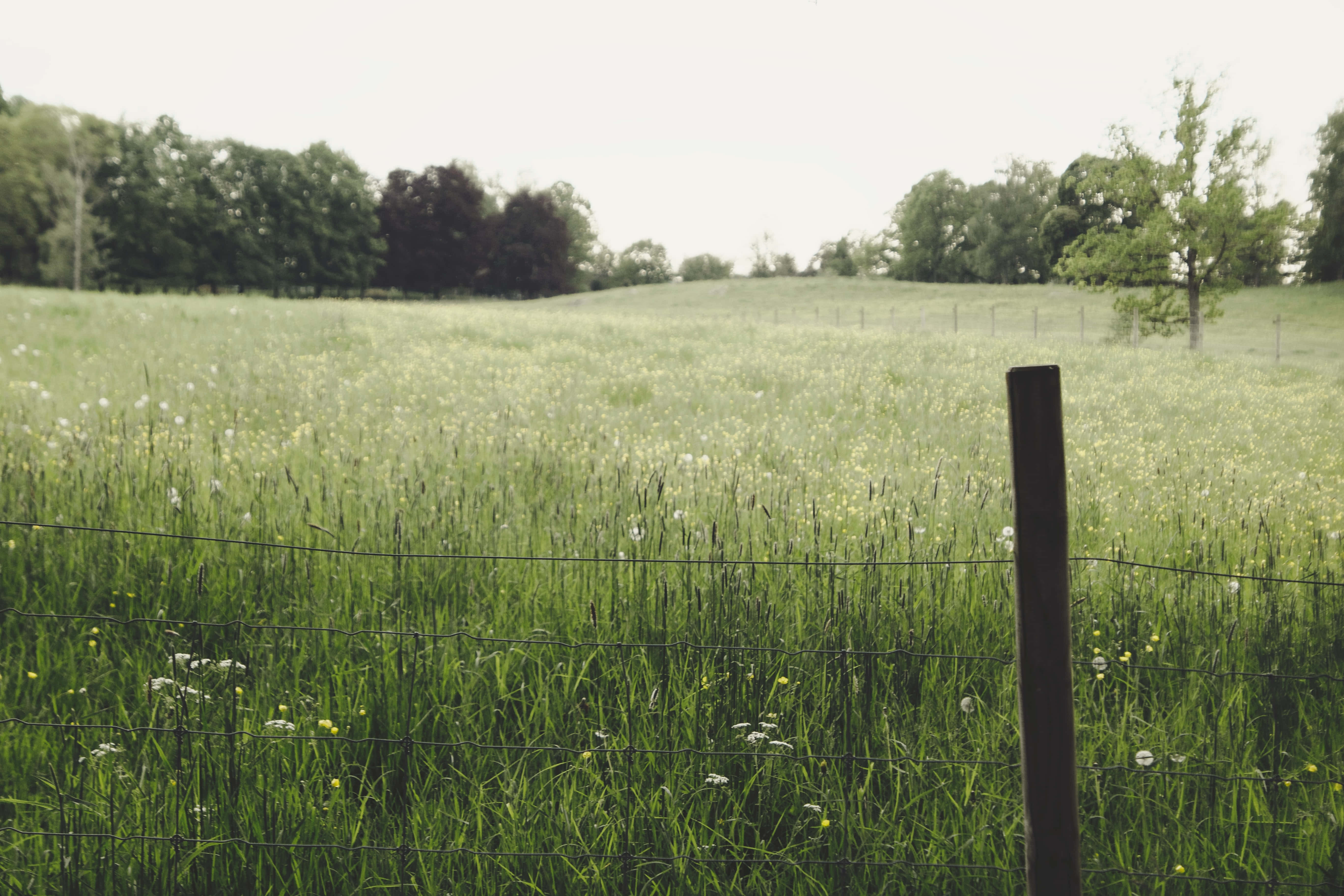 Fortryllende Cottagecore landskab Wallpapers