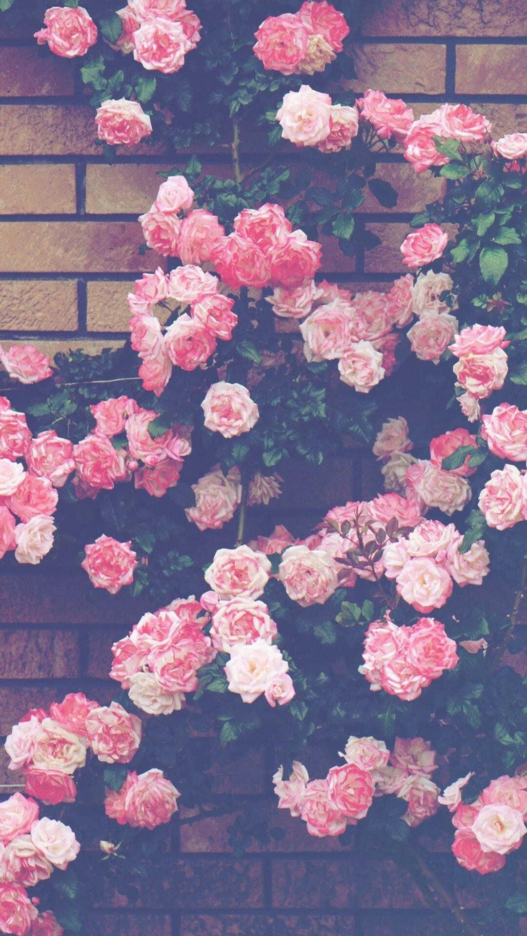 Fortryllende Forårsblomster Wallpapers
