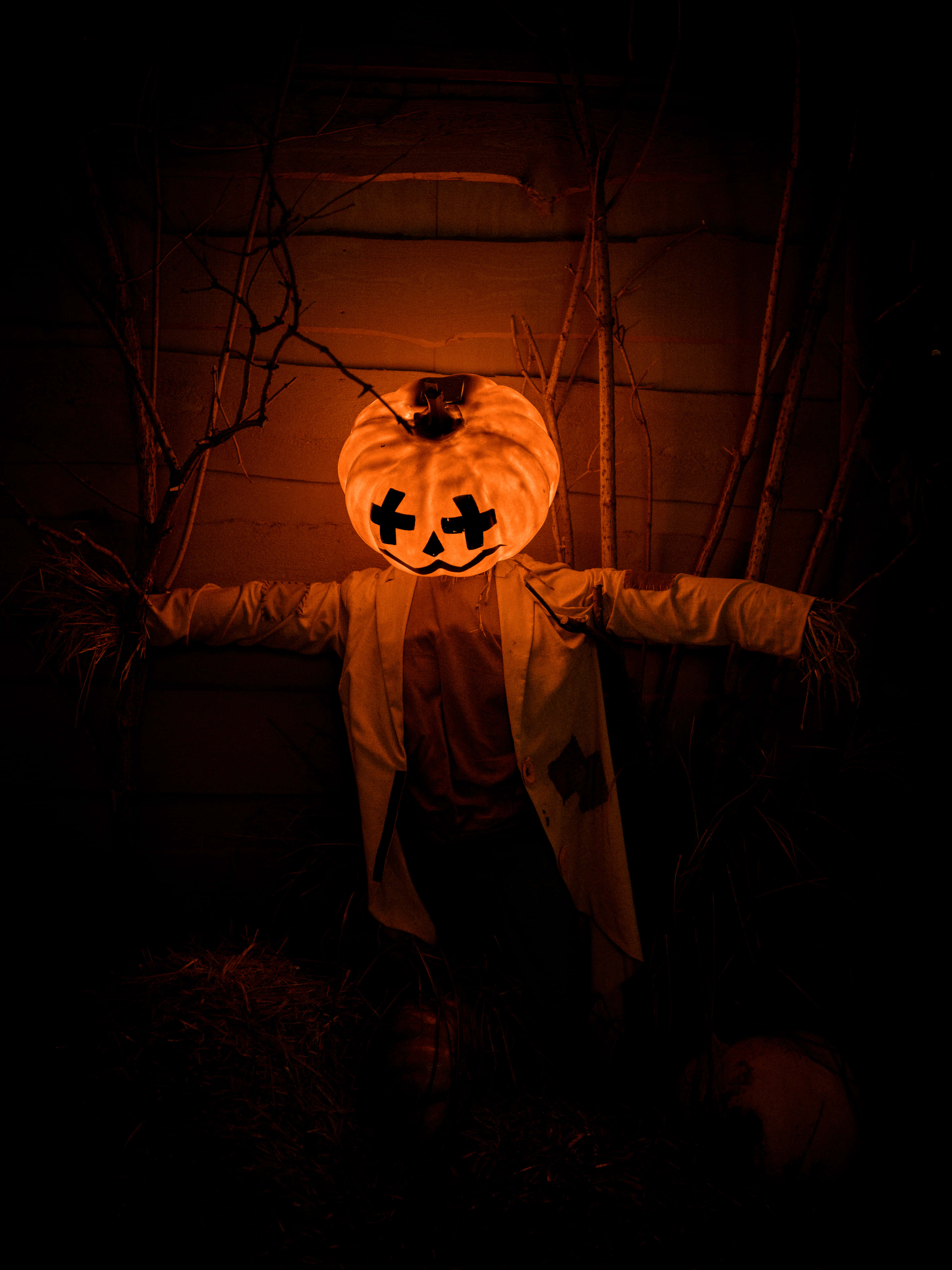 Fortryllende Halloween-græskar på en efterårsnat Wallpapers